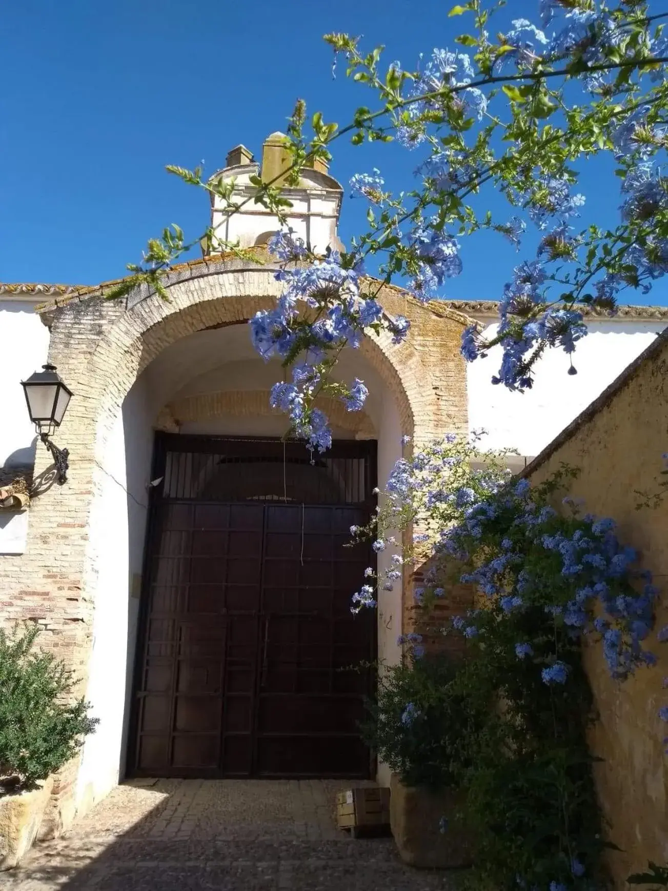 Hacienda Los Jinetes Hacienda Los Jinetes