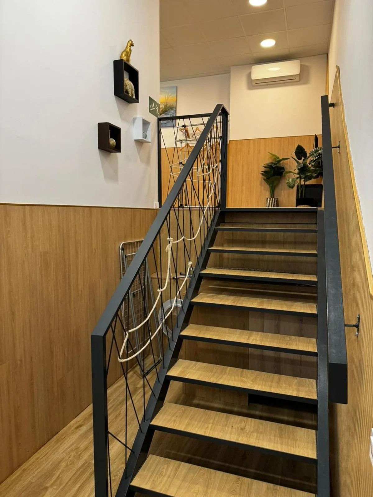 Photo of the whole room in Carbonell 1