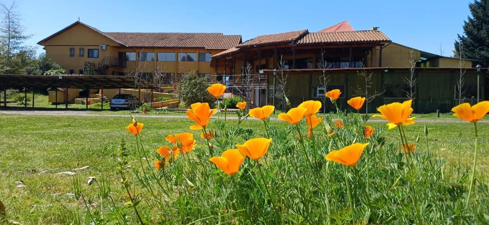 Property building in Hotel Ontiveros