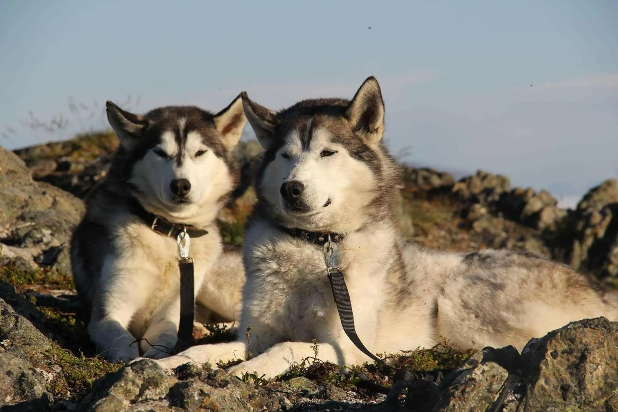 Activities in Yggdrasil Farmhotel Retreat, Spa & Yoga