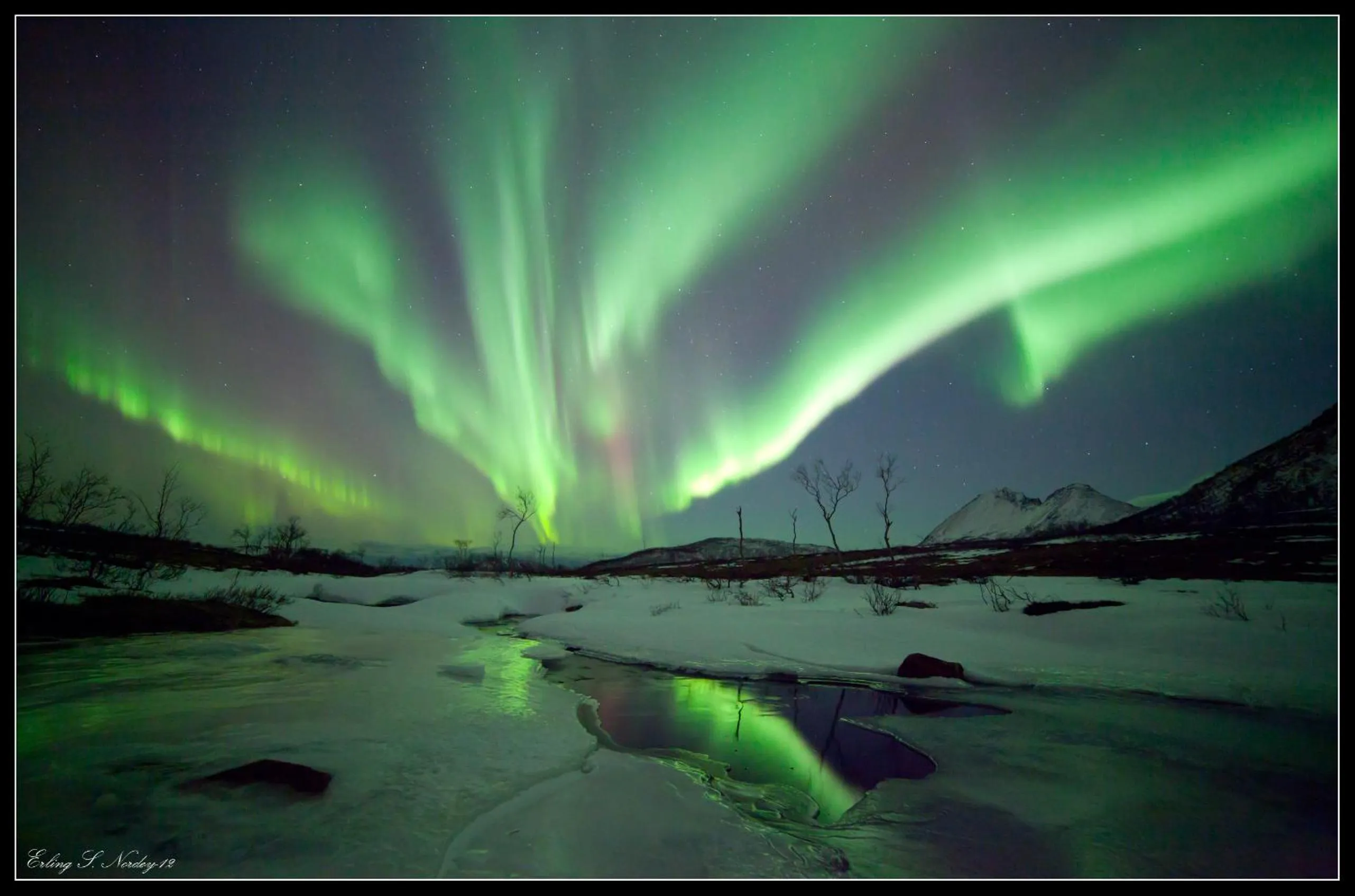 Activities in Yggdrasil Farmhotel Retreat, Spa & Yoga