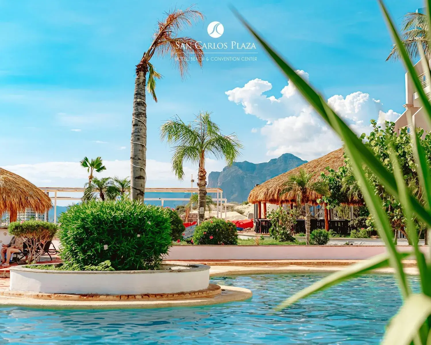Pool view in HOTEL SAN CARLOS PLAZA Pool view in HOTEL SAN CARLOS PLAZA