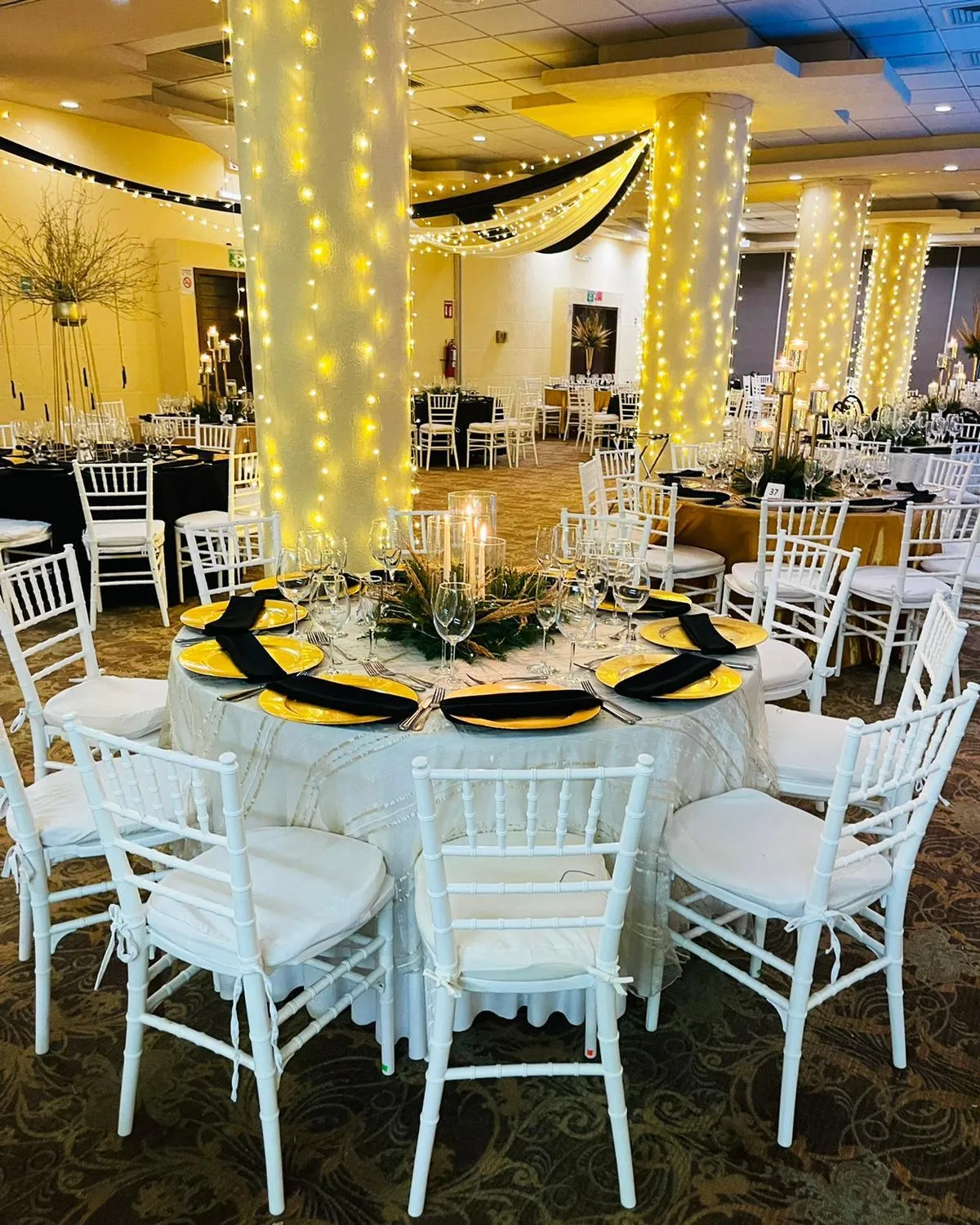 Banquet/Function facilities in HOTEL SAN CARLOS PLAZA