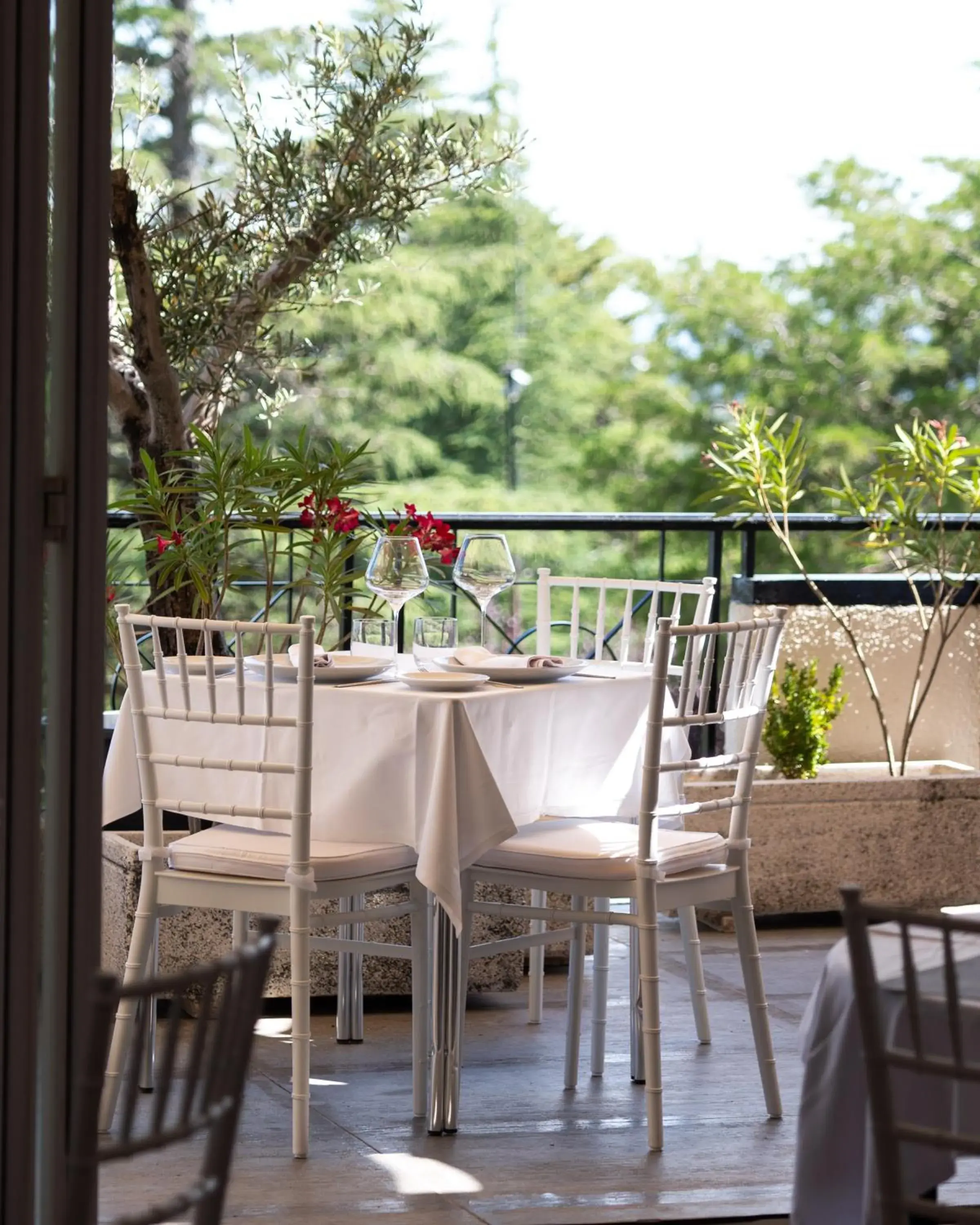 Restaurant/places to eat in Hotel Hita "Nature Experience" for all Restaurant/places to eat in Hotel Hita "Nature Experience" for all