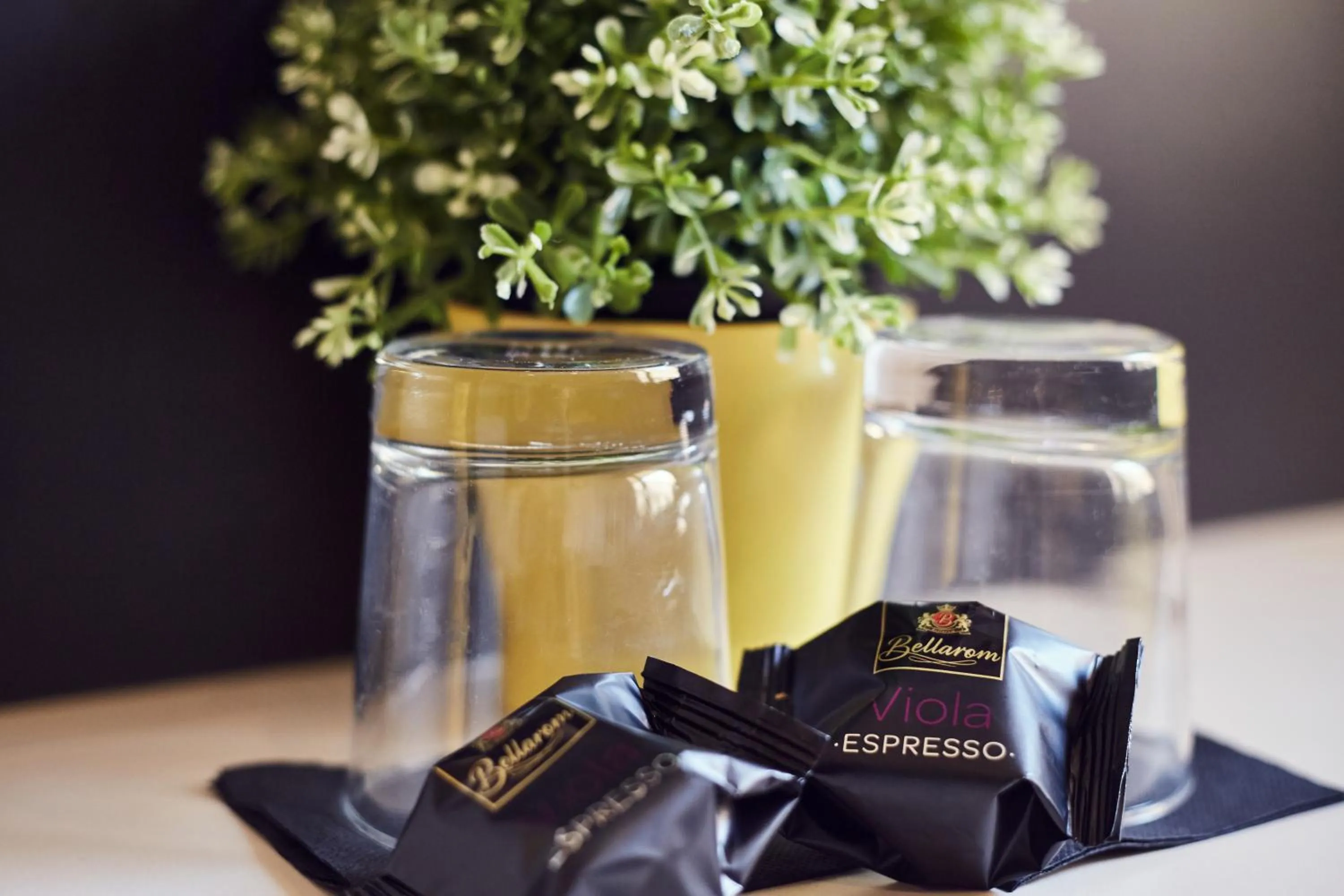 Decorative detail in Free Hostels Barcelona