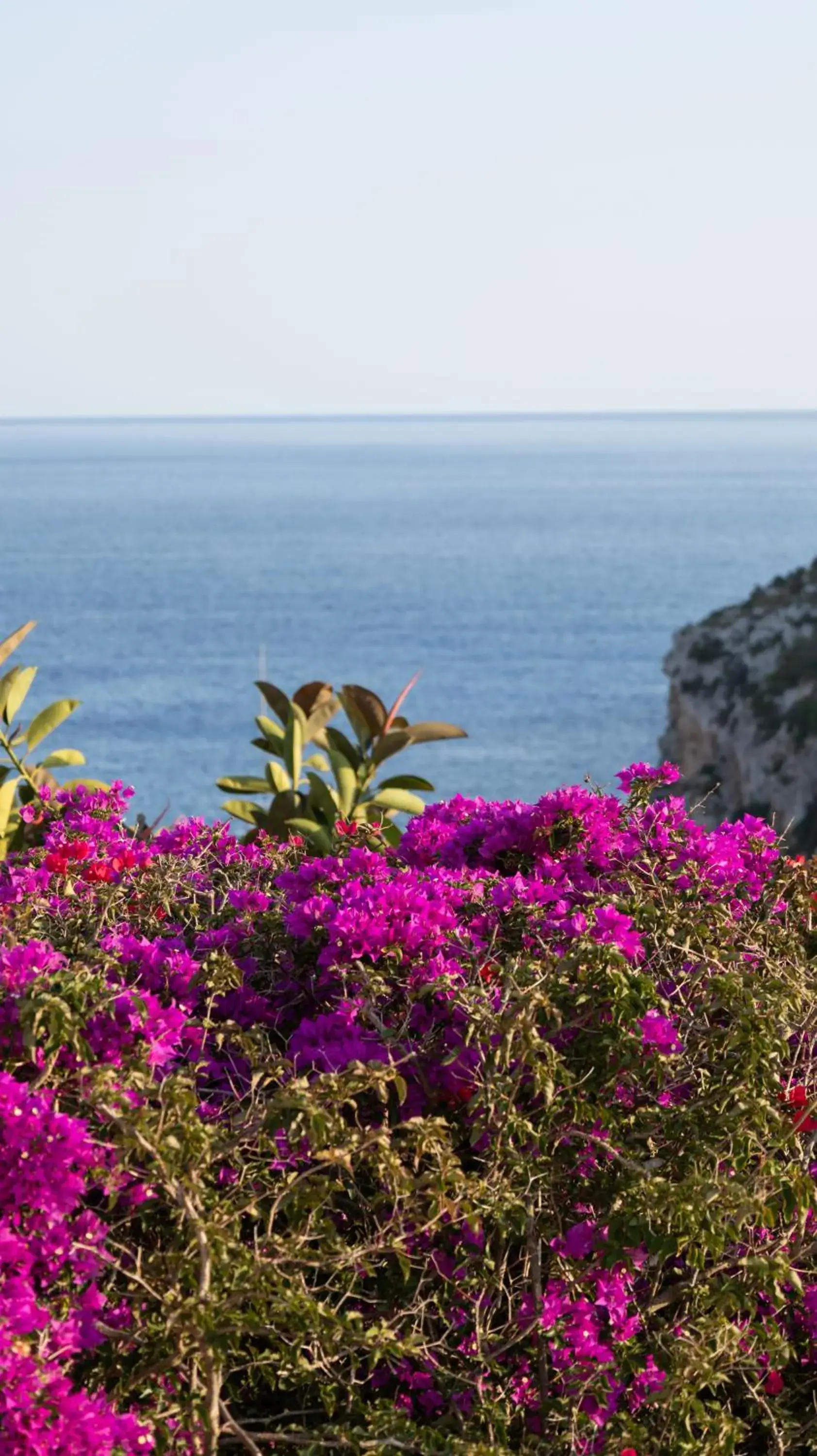 Sea view in Seth Playa Azul Sea view in Seth Playa Azul