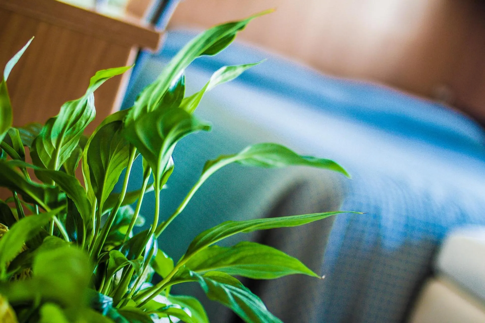 Bed in Hotel Baviera