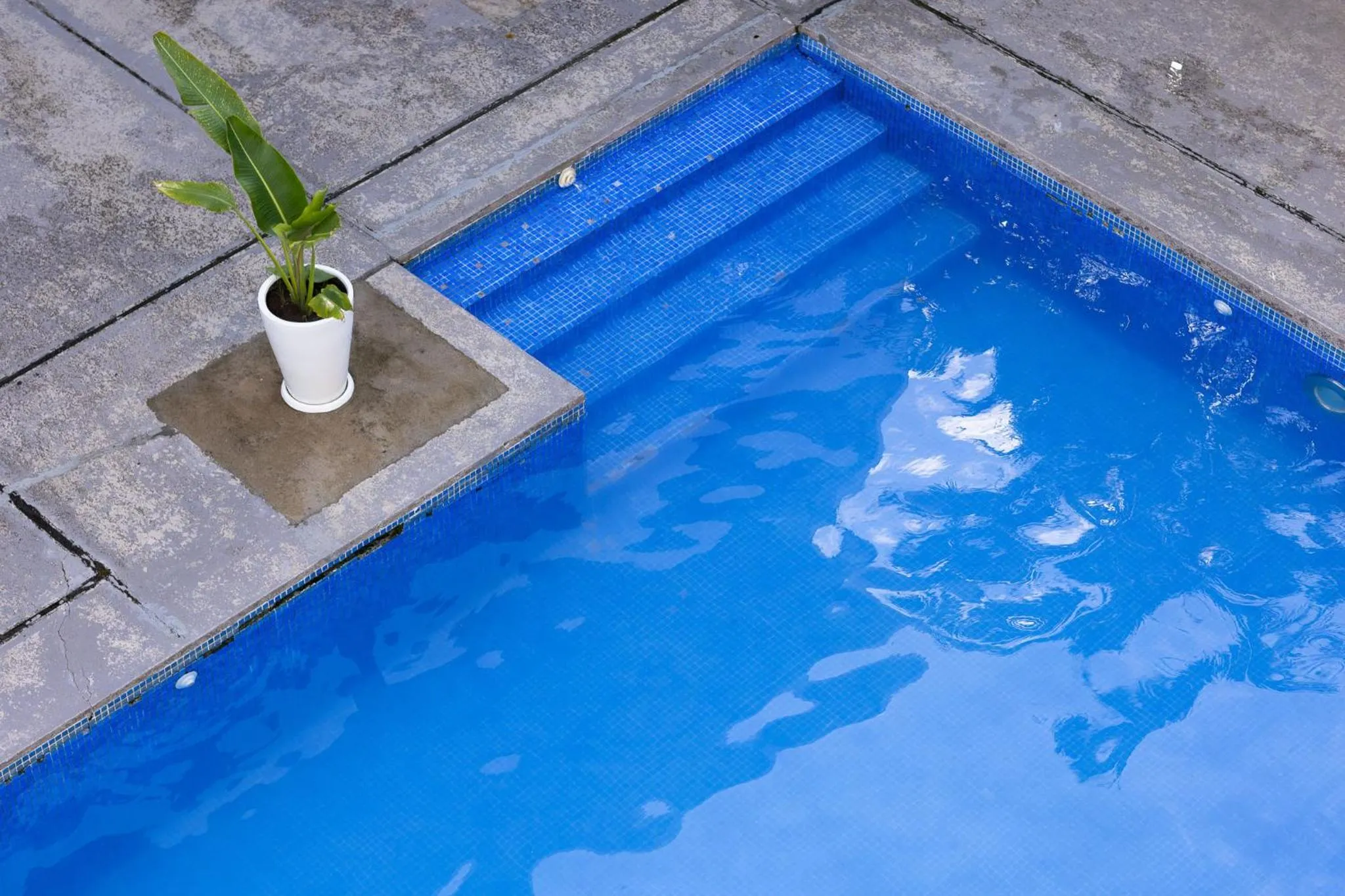 Swimming pool in Tucan Suites Tarapoto - Hotel Asociado Casa Andina