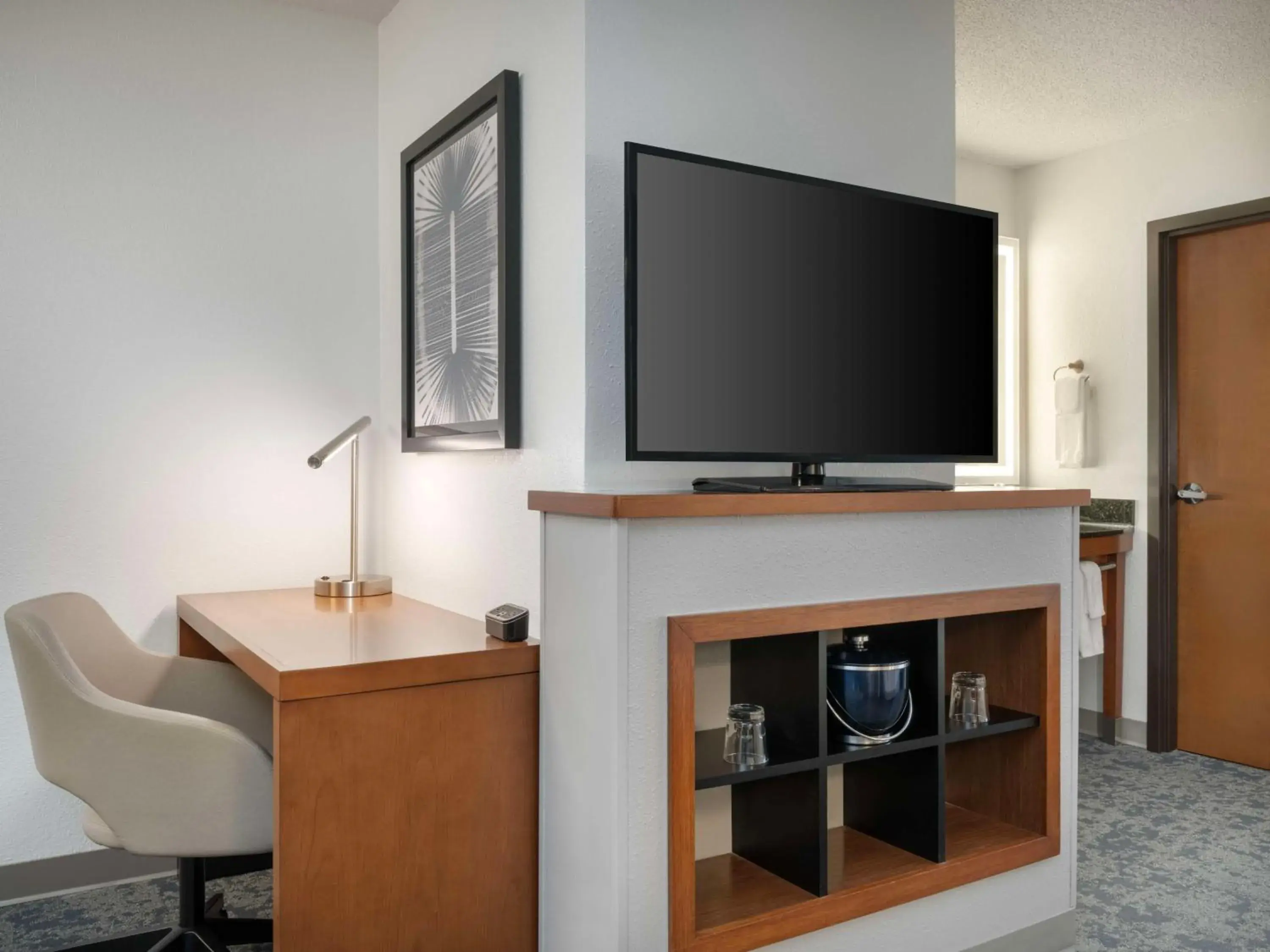 Photo of the whole room in Hyatt Place Tampa Busch Gardens Photo of the whole room in Hyatt Place Tampa Busch Gardens