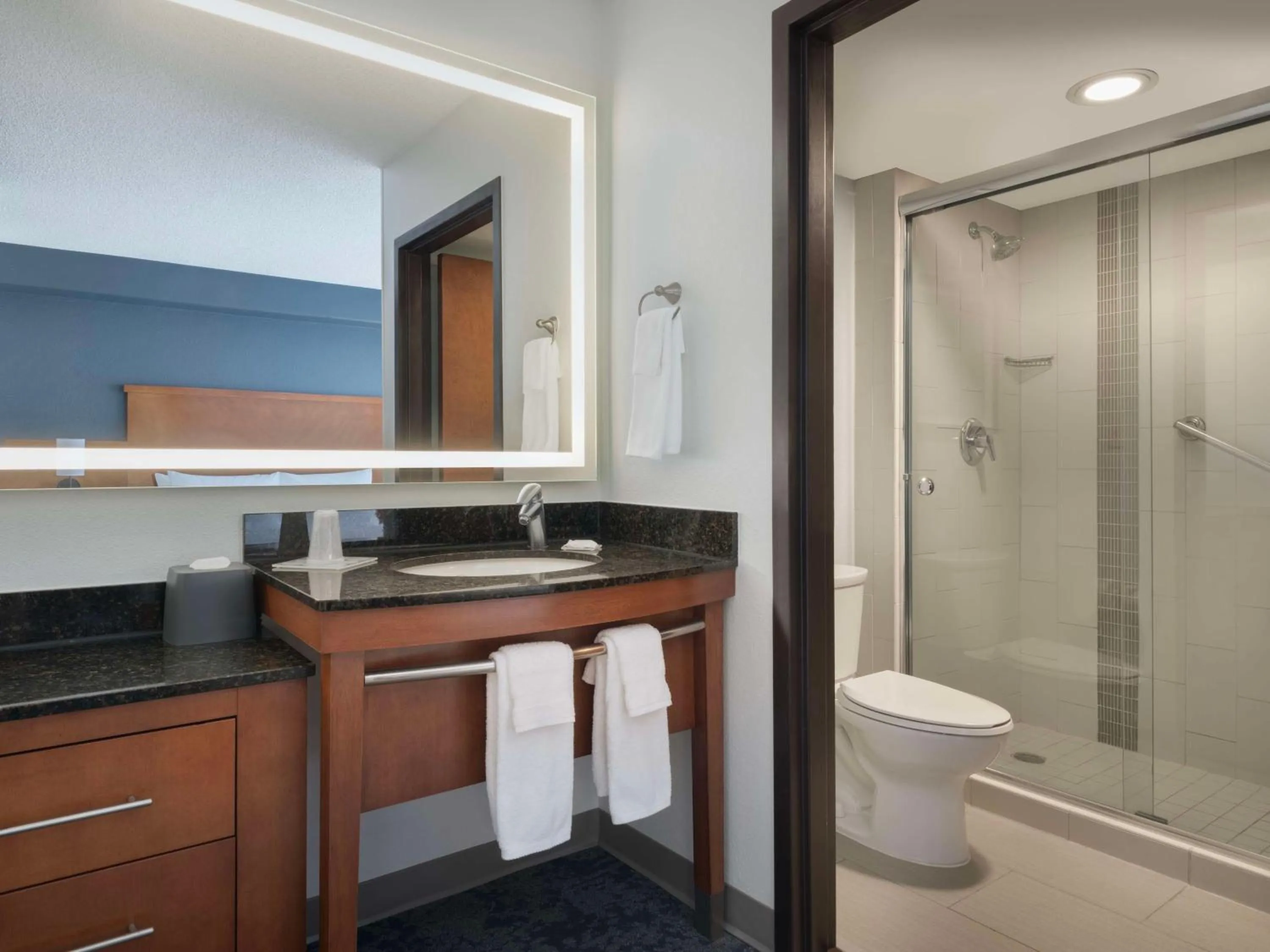 Bathroom in Hyatt Place Tampa Busch Gardens