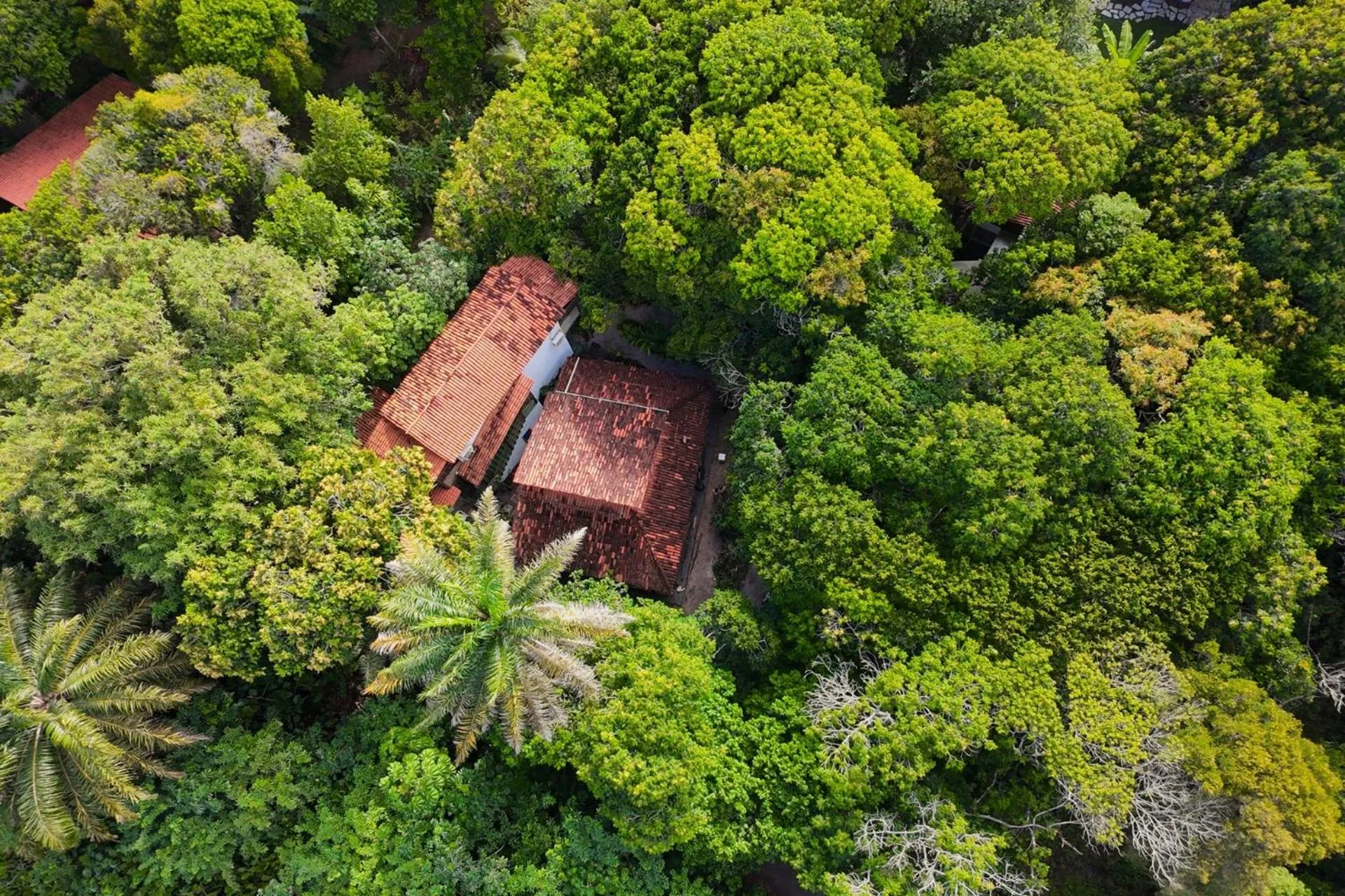 Bird's eye view in Vila Coco Dendê - Algodões