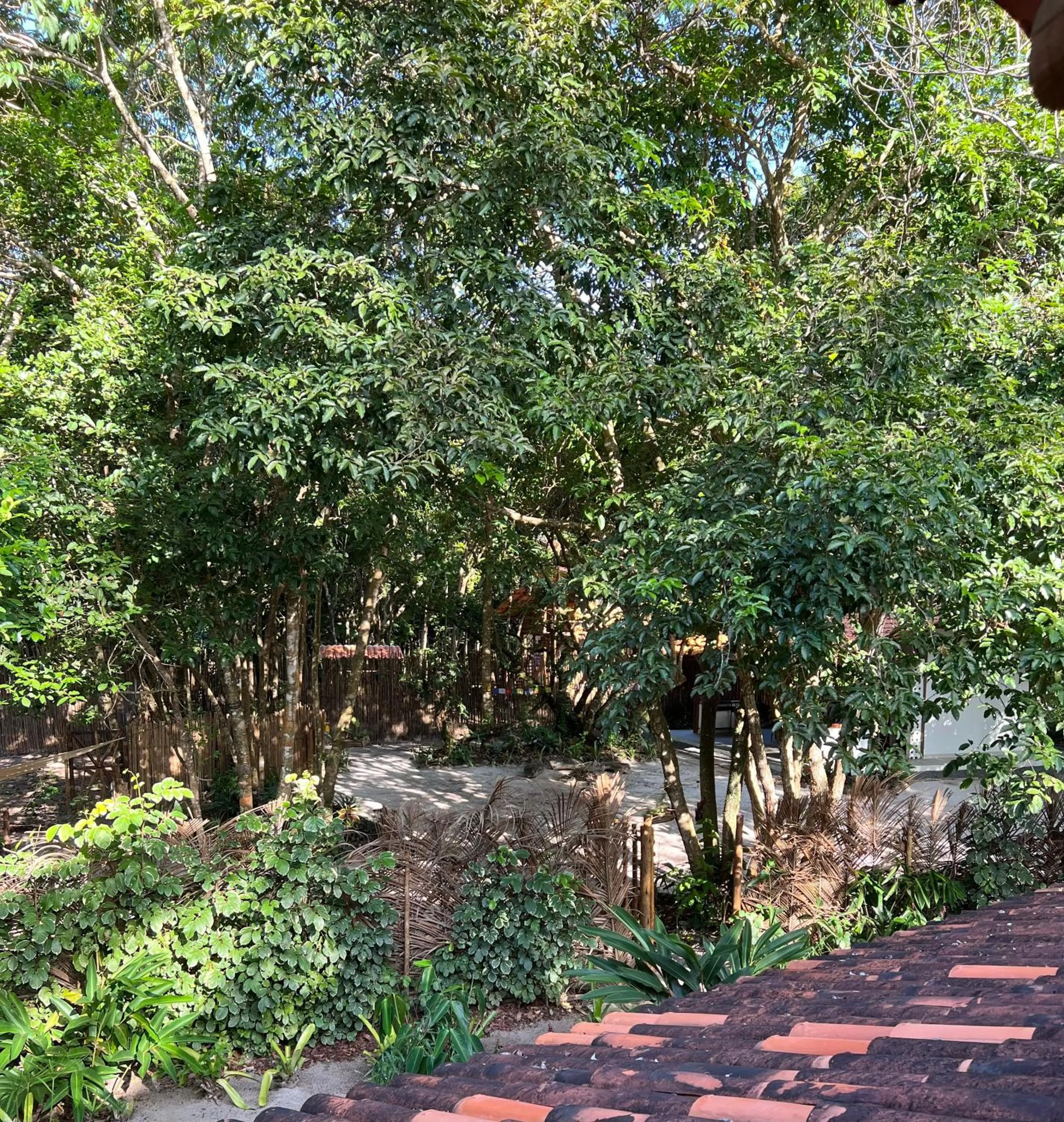 Natural landscape in Vila Coco Dendê - Algodões