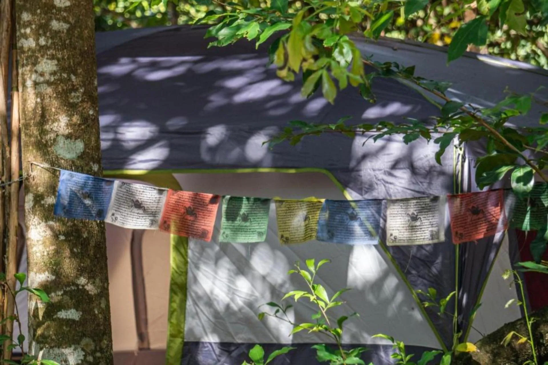 Bedroom in Vila Coco Dendê - Algodões