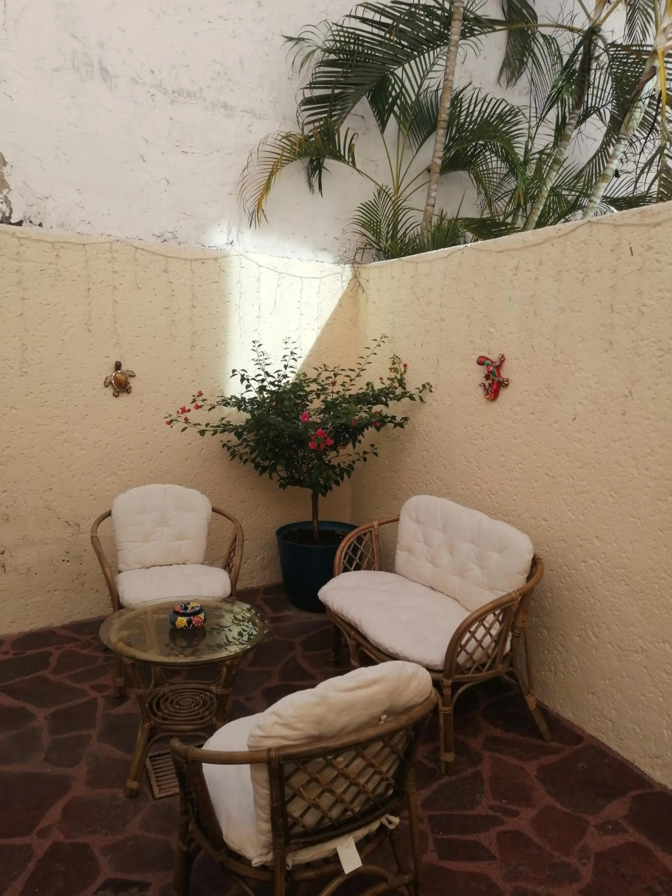 Patio in Casa Dahlia 2
