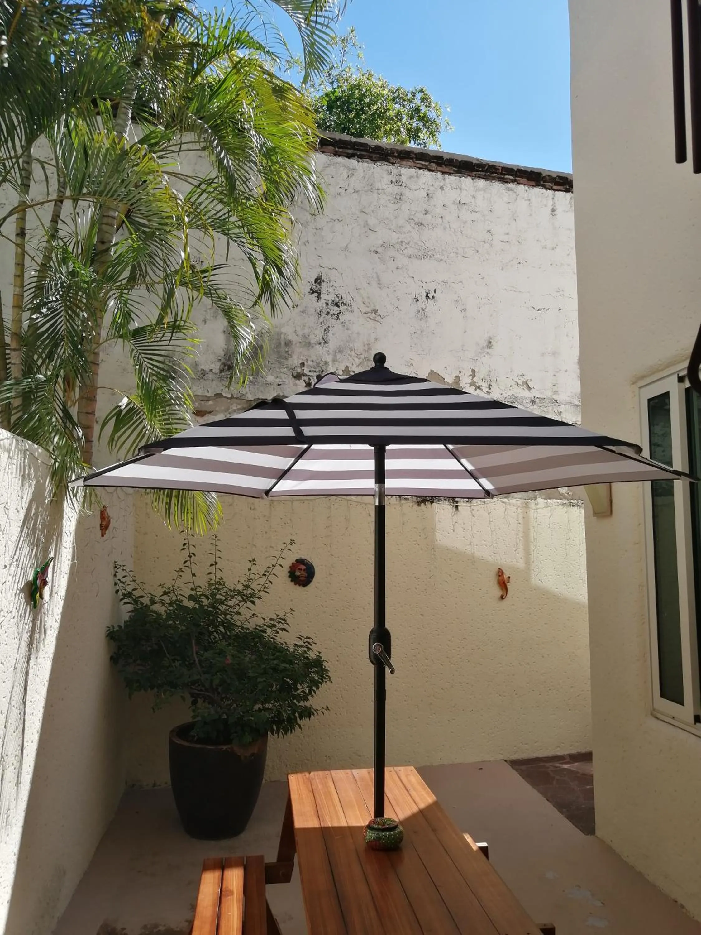 Patio in Casa Dahlia 2