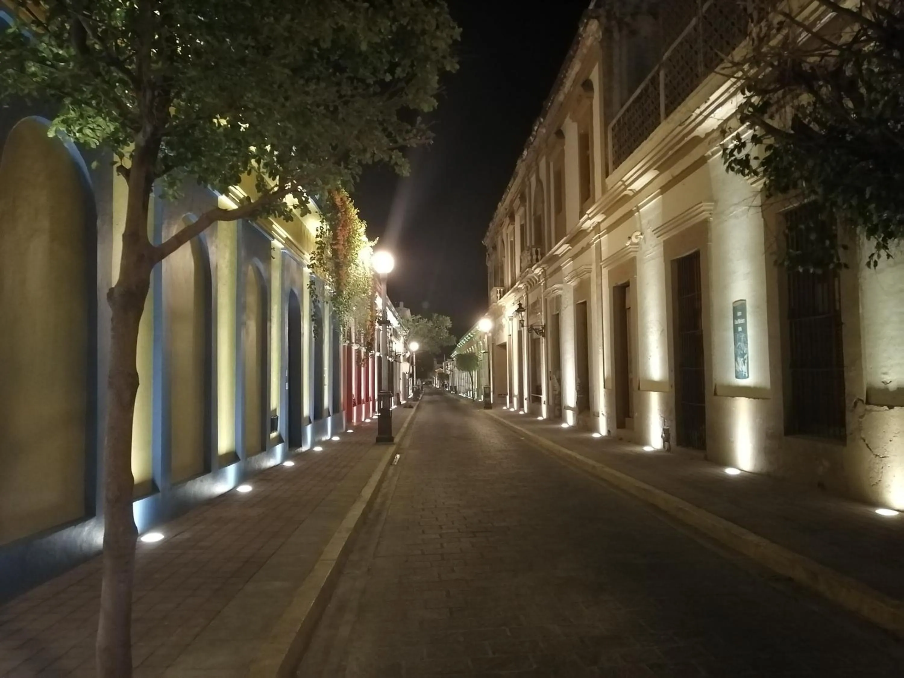 Neighbourhood in Casa Dahlia 2