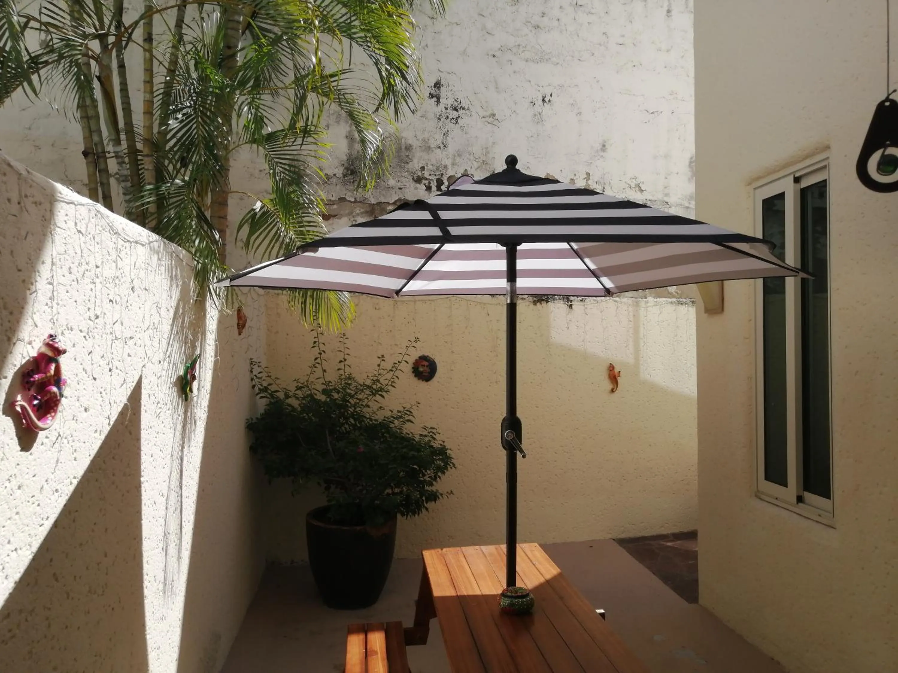 Patio in Casa Dahlia 2