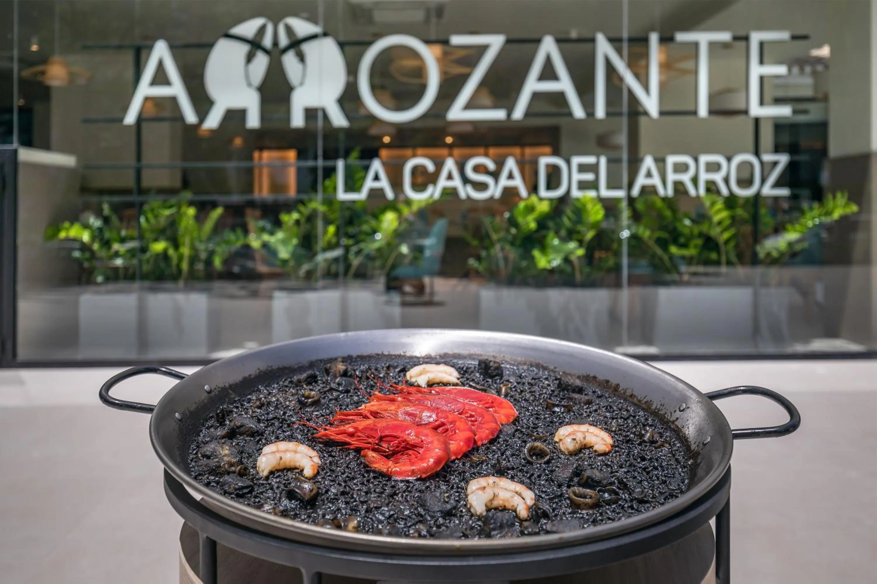 Restaurant/places to eat in Occidental Puerto Banús