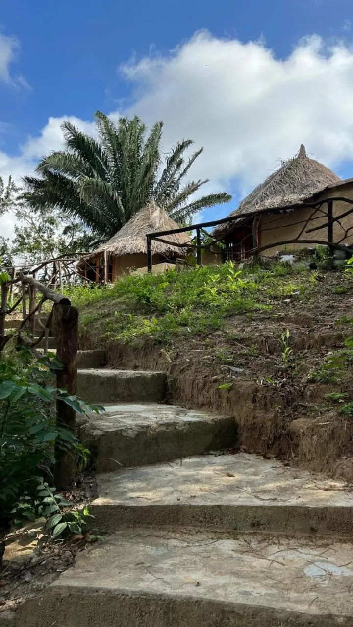 Property building in Tawaca Ecohotel