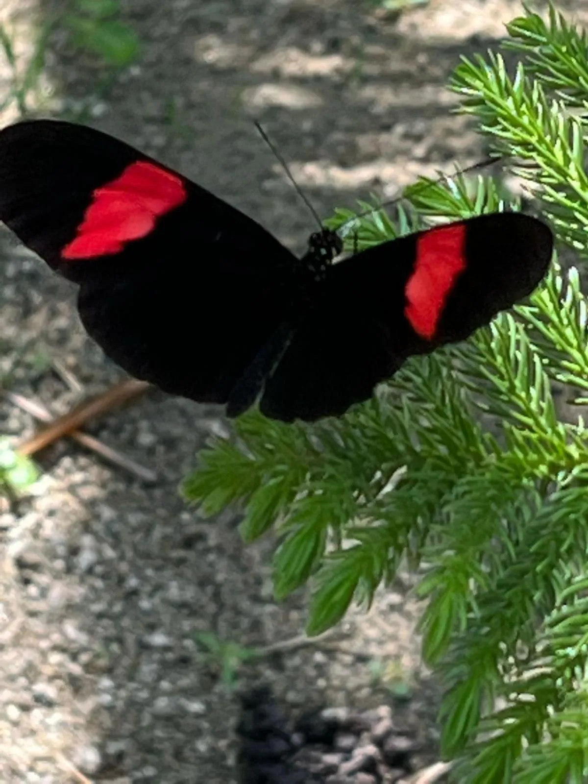Natural landscape in Tawaca Ecohotel