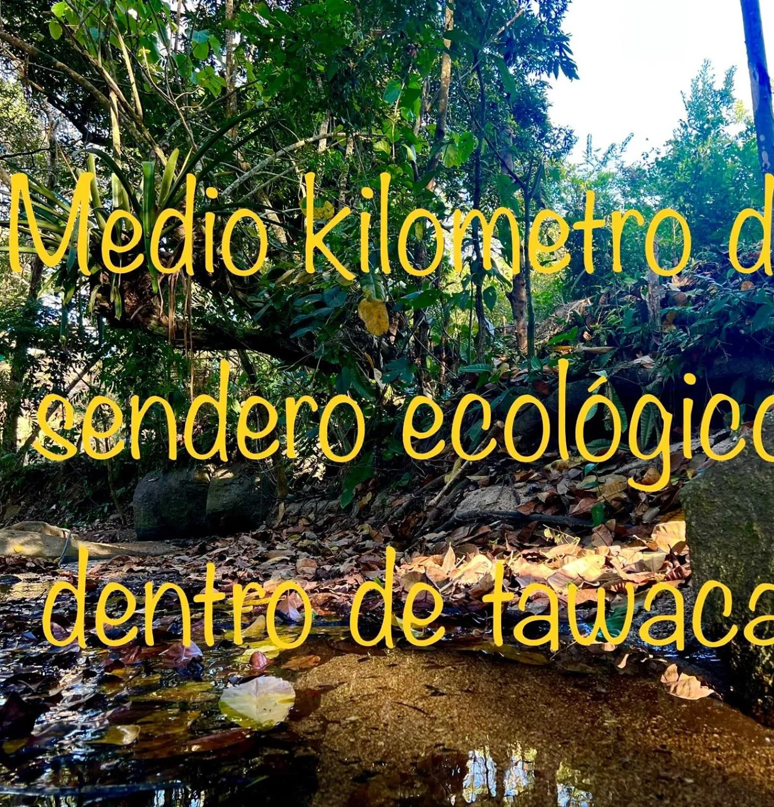 Natural landscape in Tawaca Ecohotel