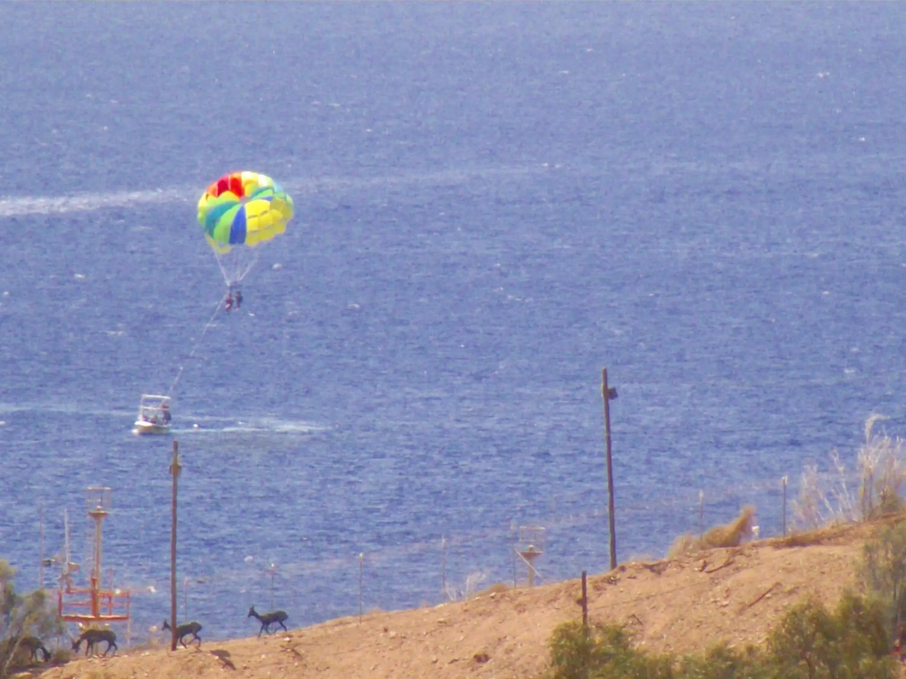 Bird's eye view in City Apartments Bird's eye view in City Apartments