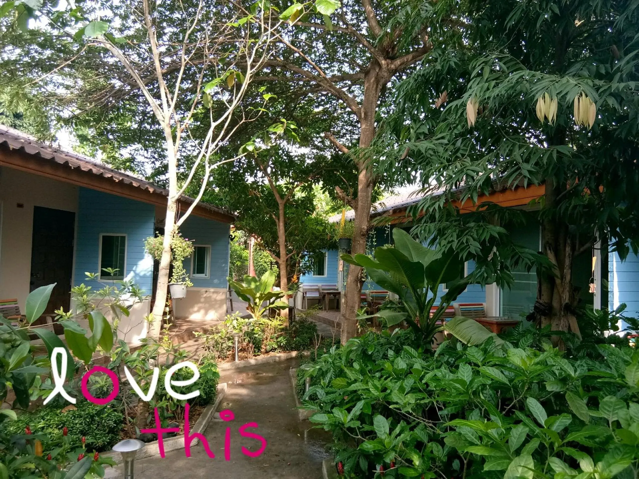 Garden in Q Zone Boutique House