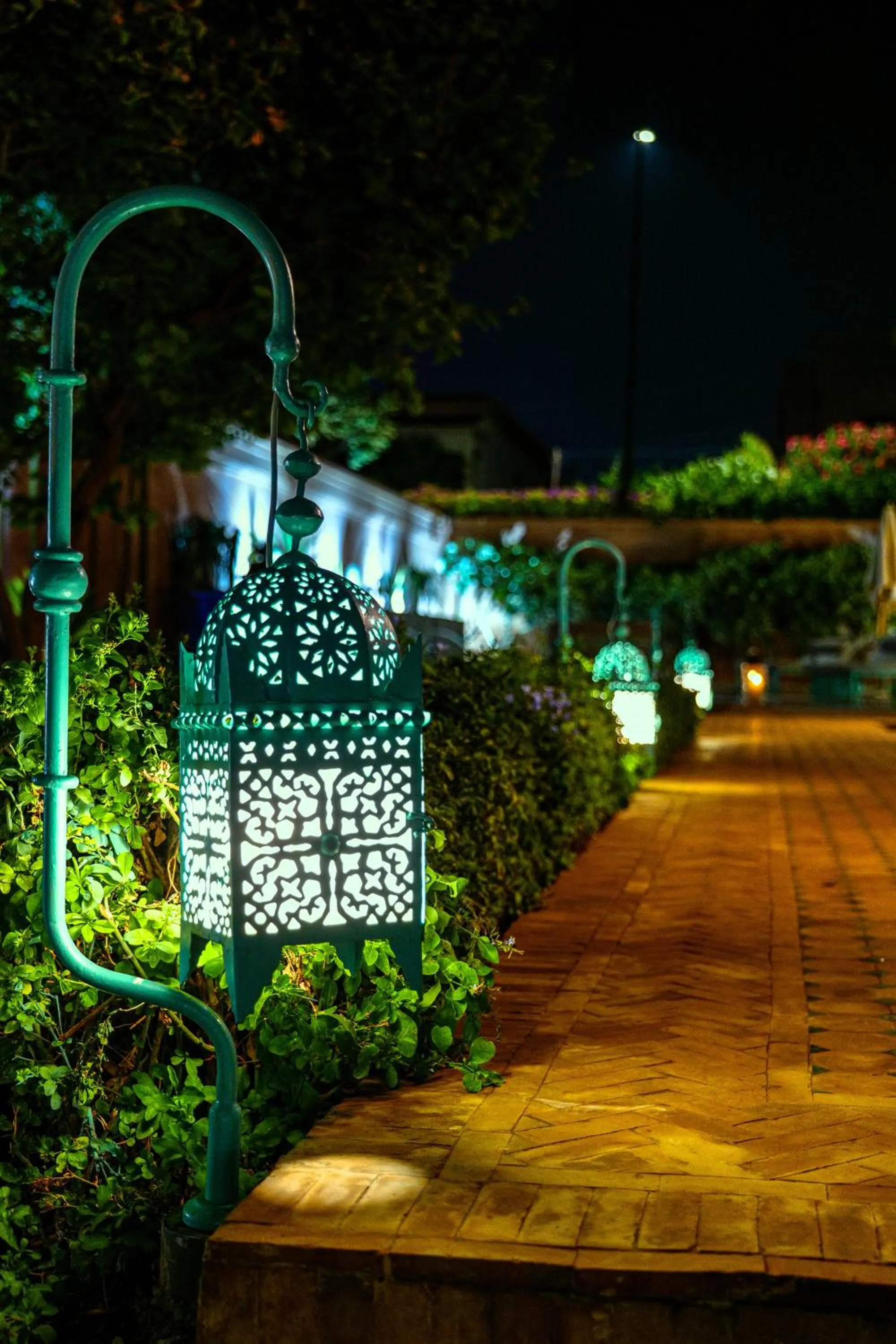 Garden in Taj Sofia & Spa Luxury Private Villa