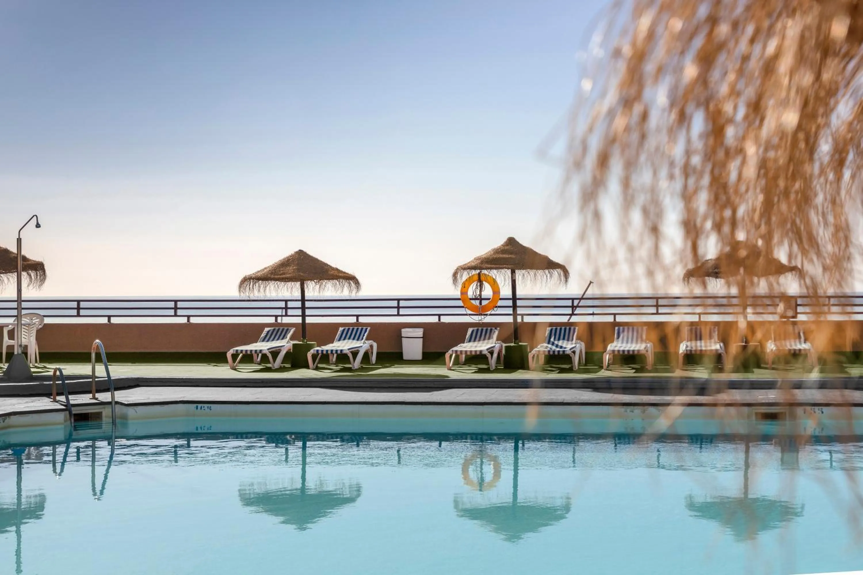 Swimming pool in Las Palmeras Affiliated by FERGUS