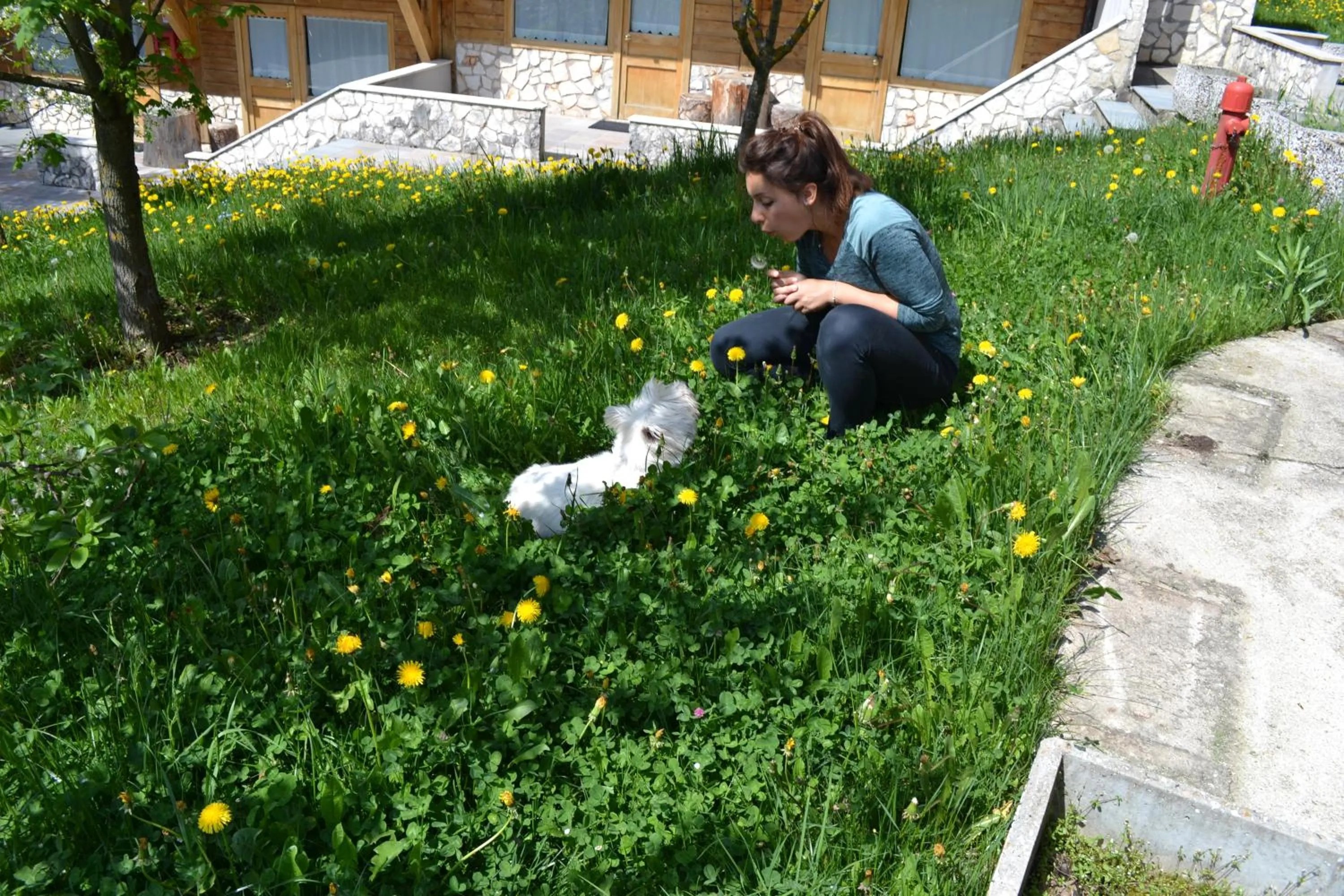 Pets in Albergo Rendola