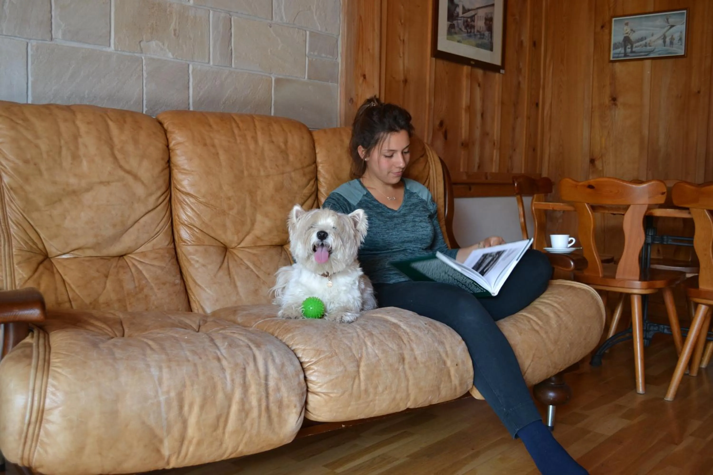 Pets in Albergo Rendola