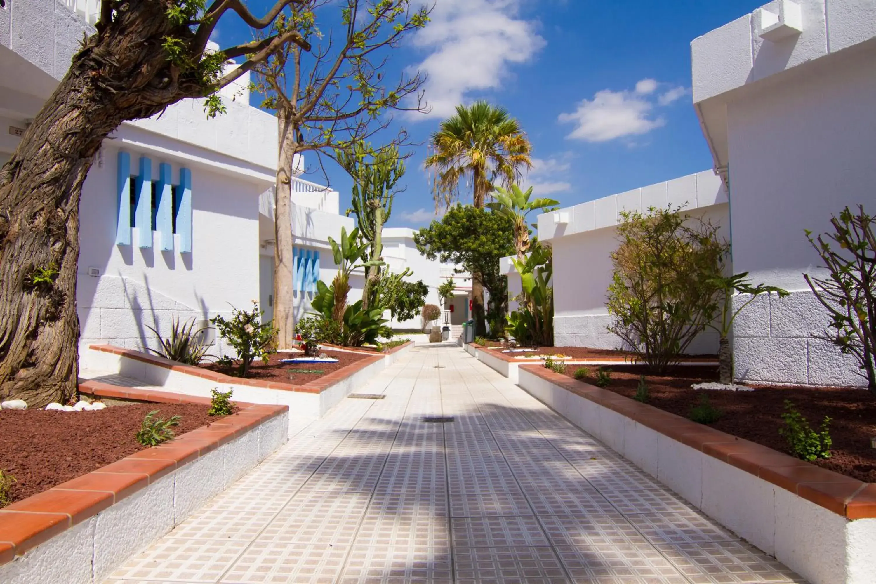 Property building in Checkin Bungalows Atlántida Property building in Checkin Bungalows Atlántida