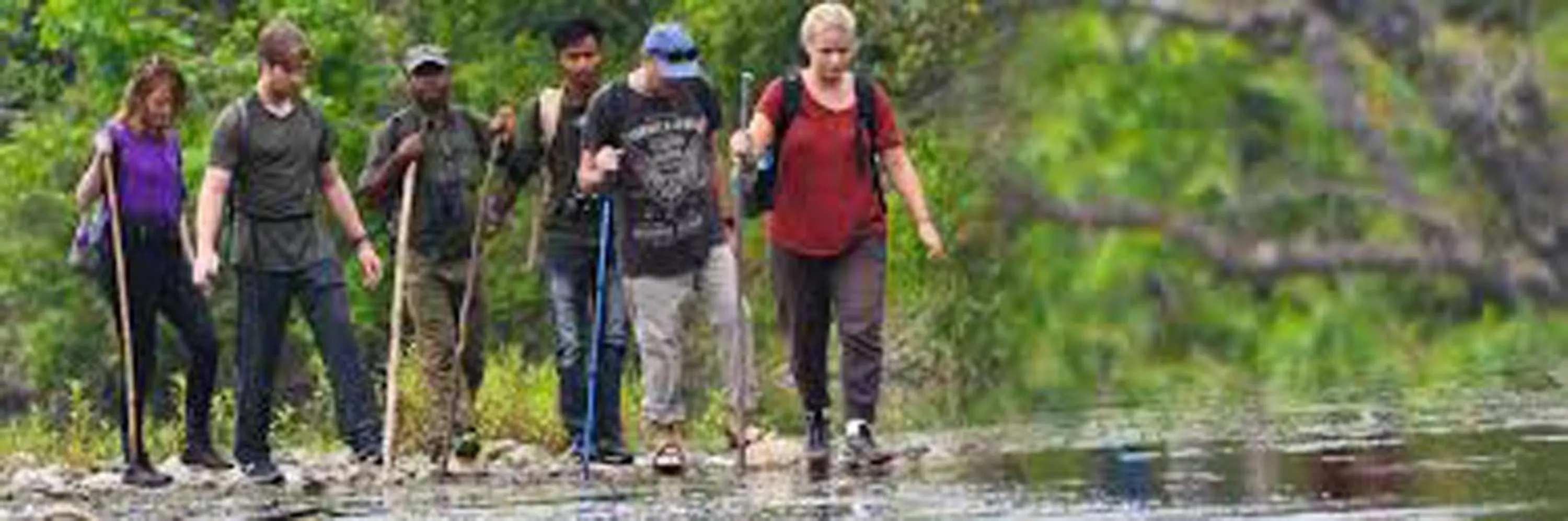 Hiking in Landmark Forest Park