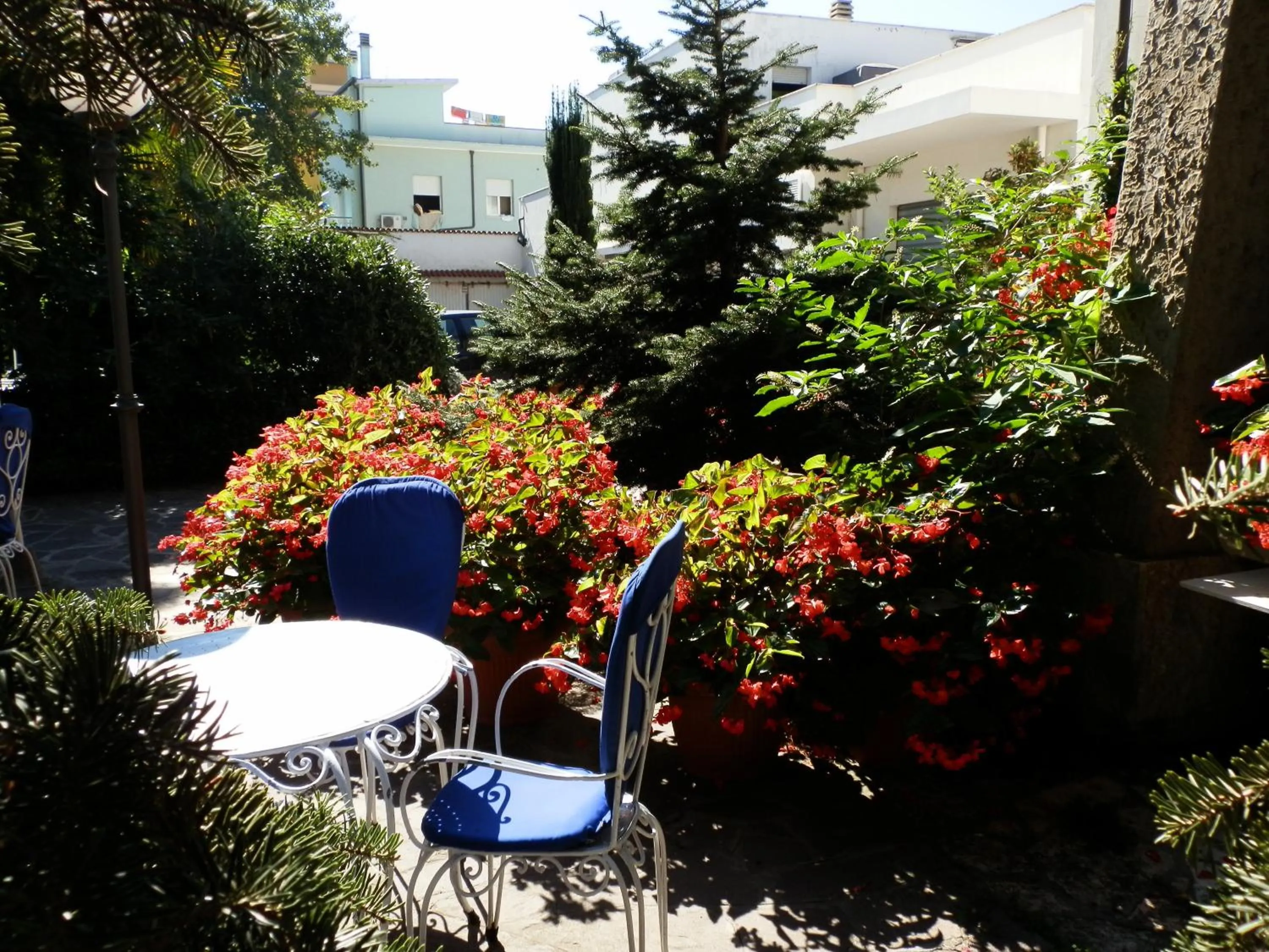 Garden in Hotel Nautic B&B