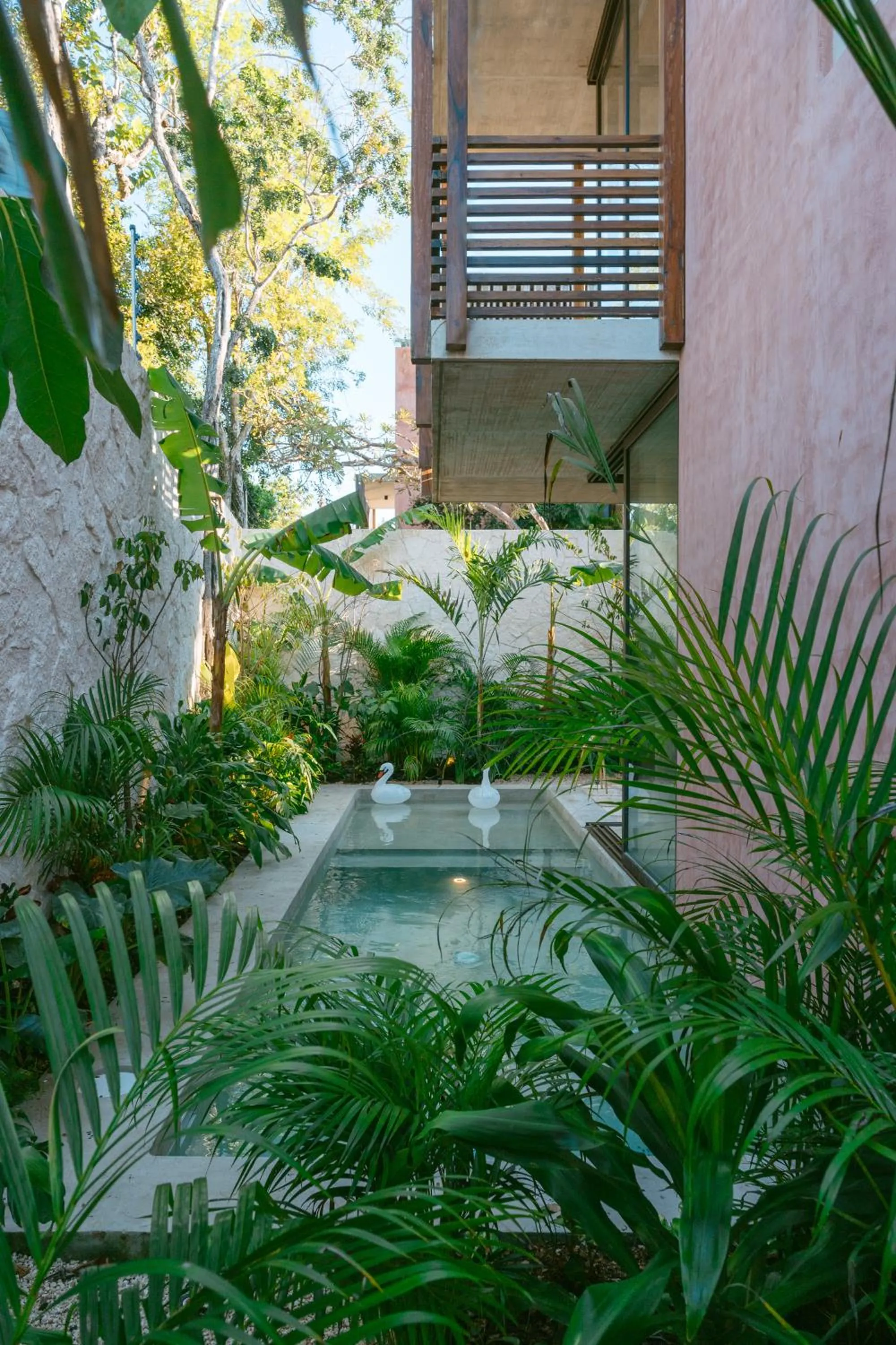 Pool view in Entorno Tulum - Luxury Villas