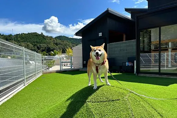 Pets in RESORT SPA FutureRESORT