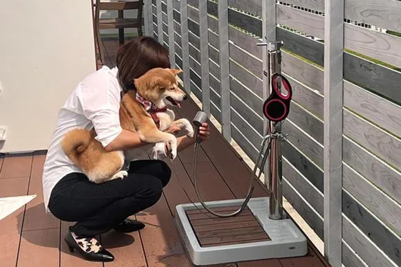 Pets in RESORT SPA FutureRESORT