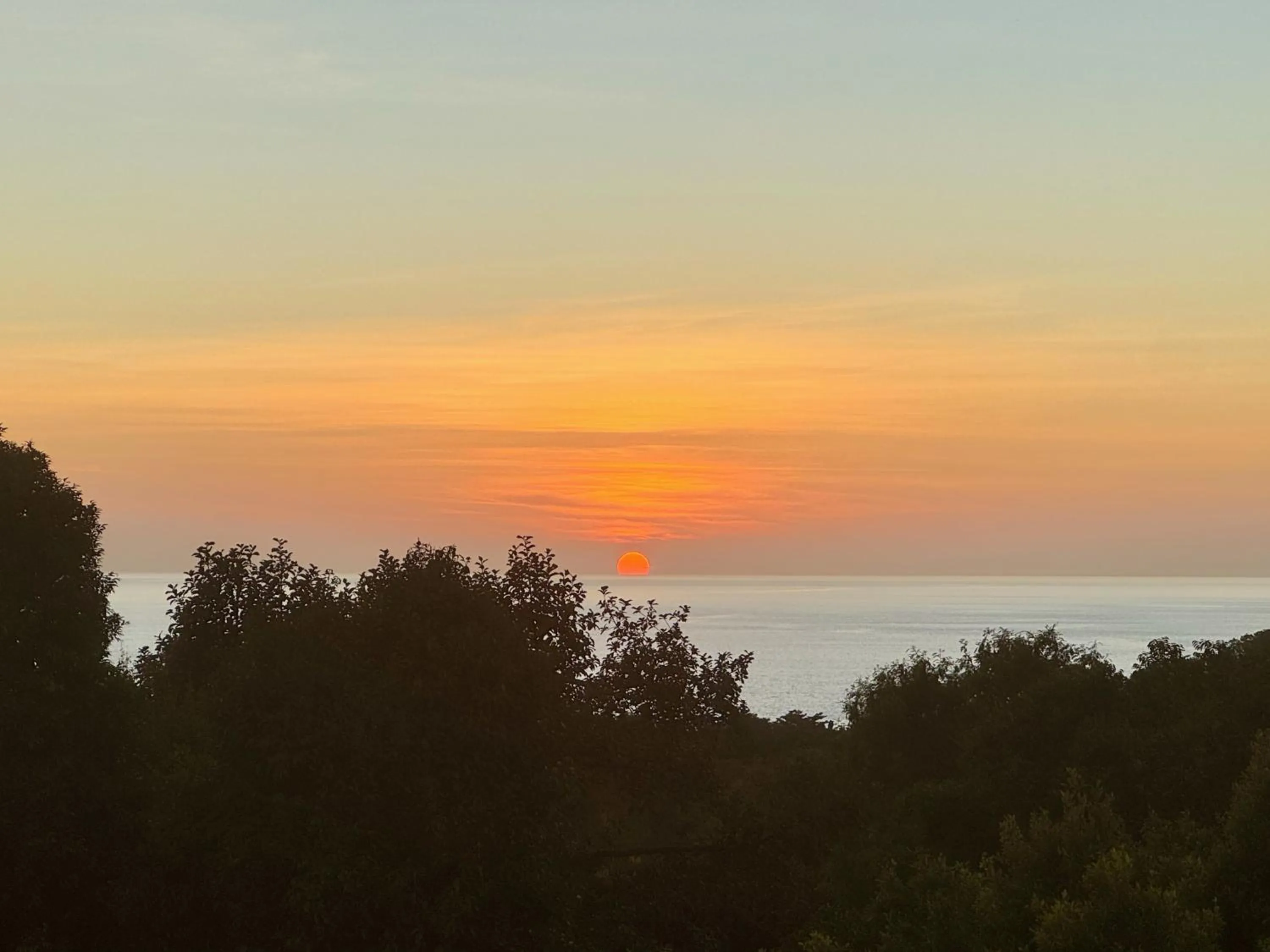 Natural landscape in The Carma - stylish and luxury sea view pool villa