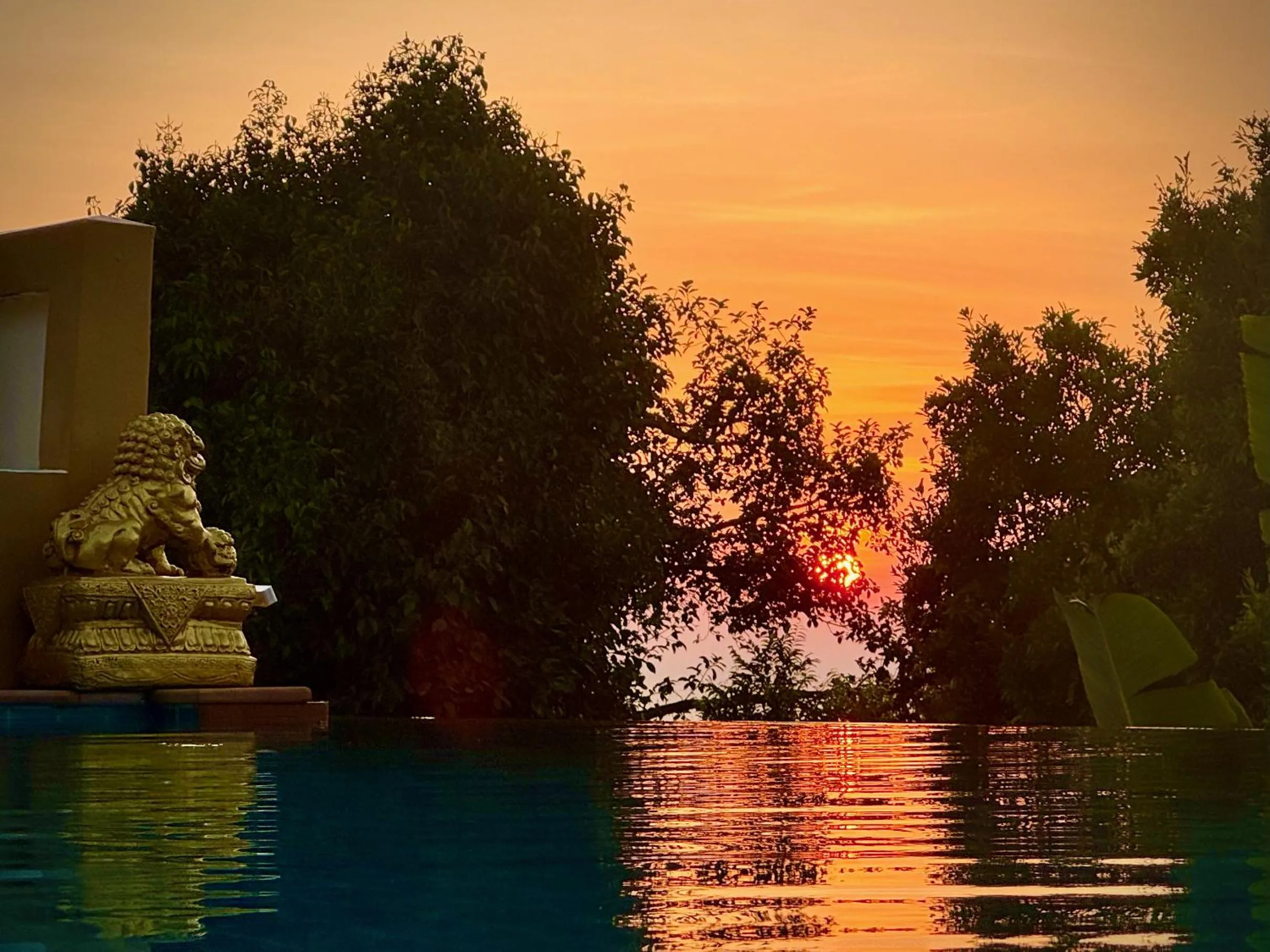 Natural landscape in The Carma - stylish and luxury sea view pool villa