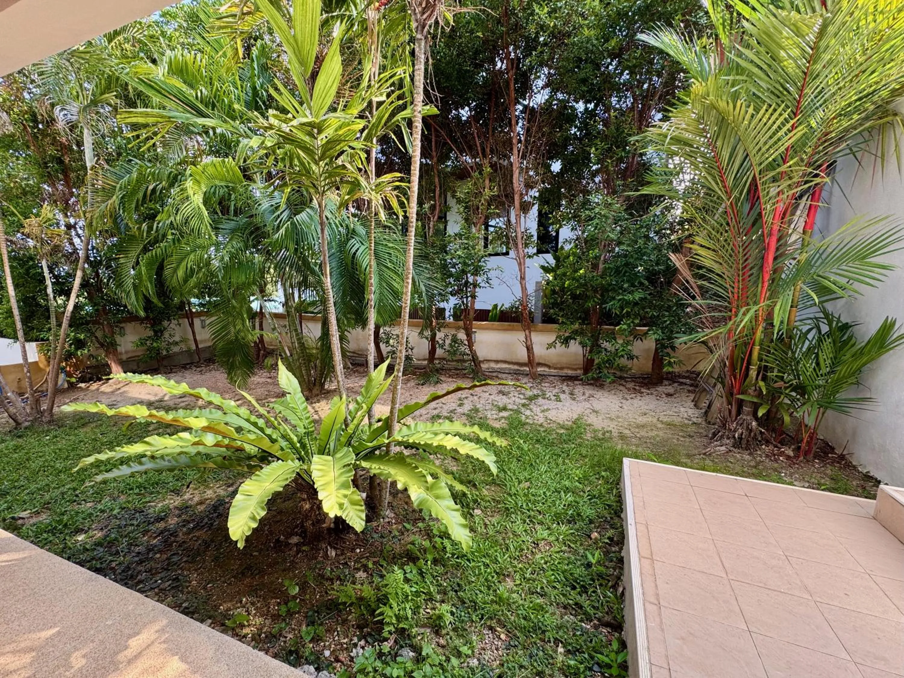 Garden in The Carma - stylish and luxury sea view pool villa