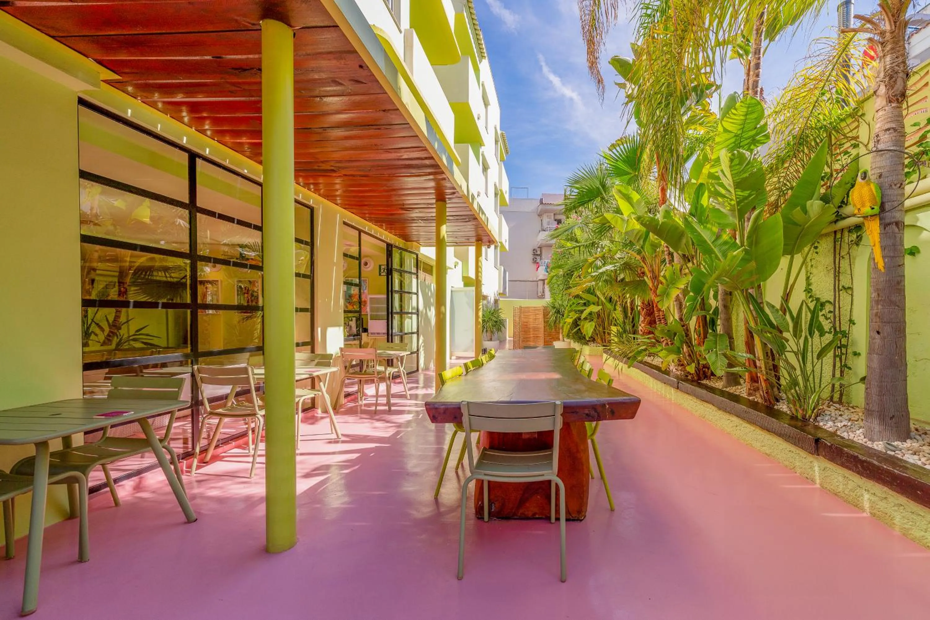 Area and facilities in Tropicana Ibiza Suites - Adults Only