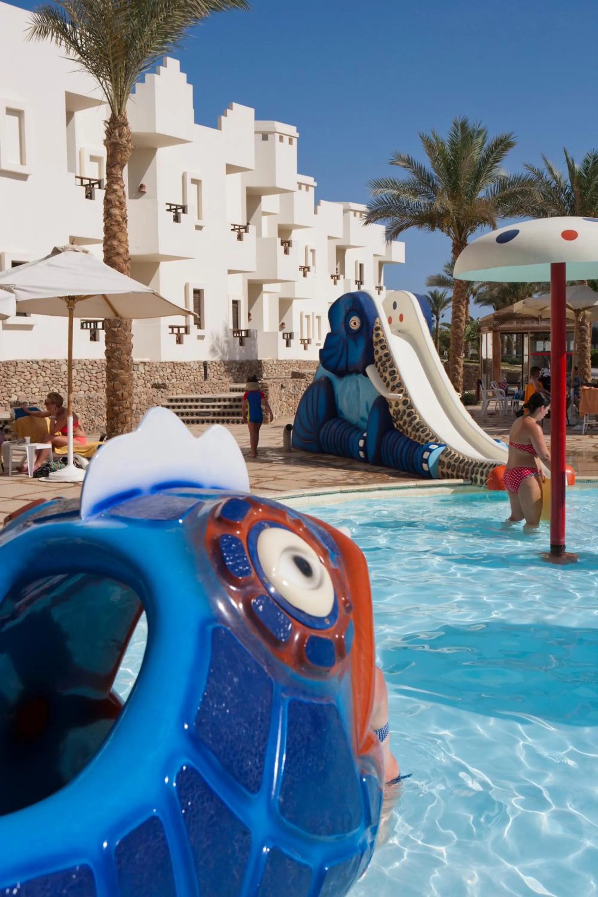Swimming pool in Sharm Resort