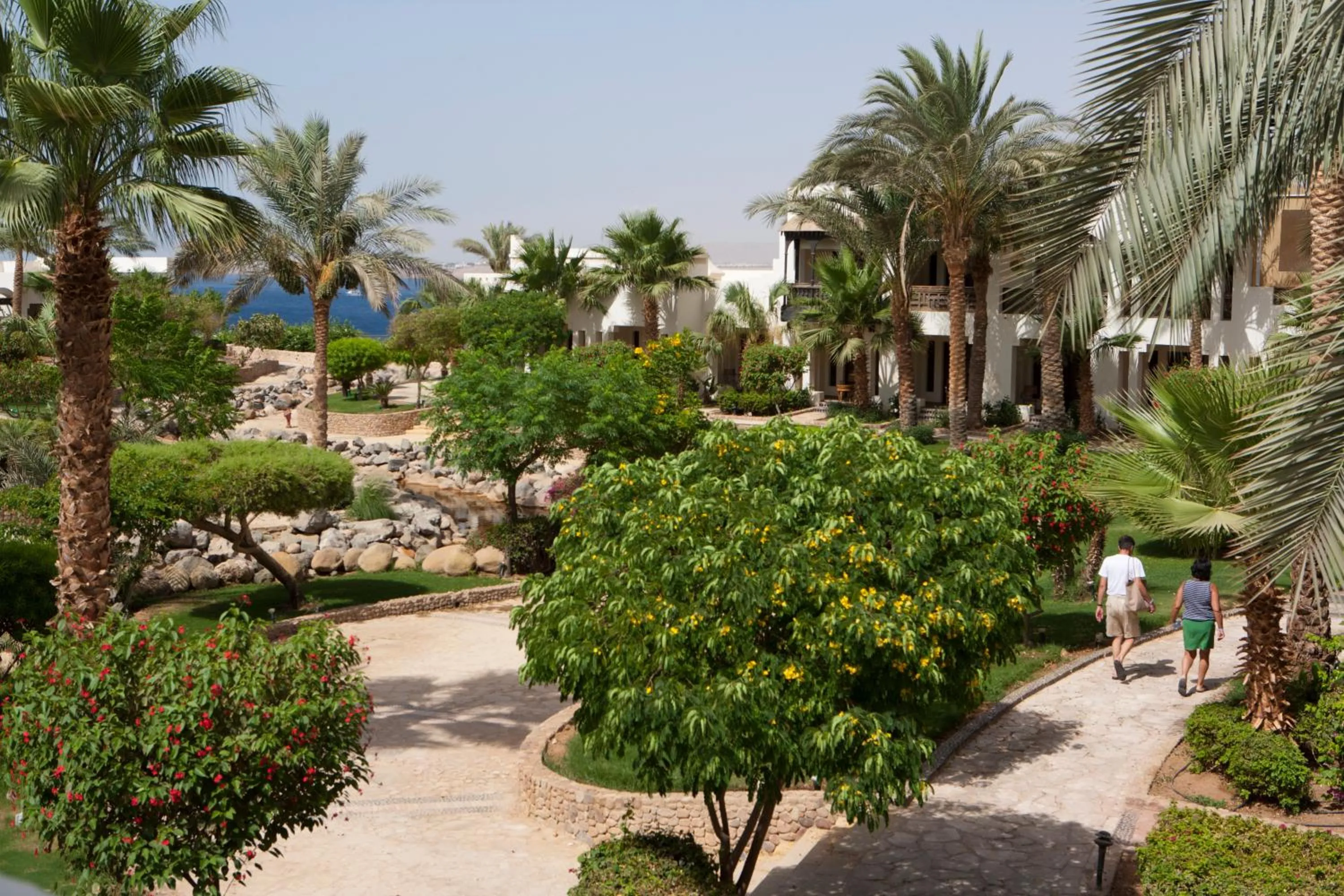 Property building in Sharm Resort