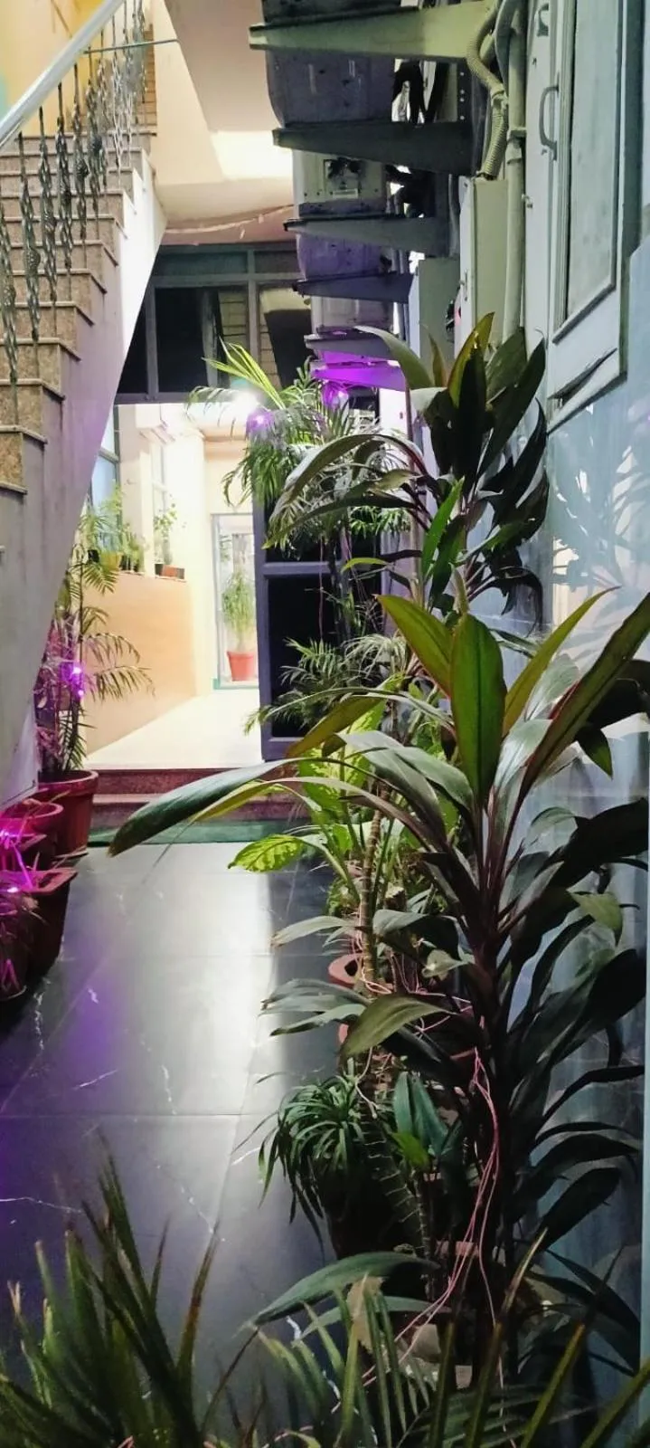 Property building in Hotel Braj Haveli