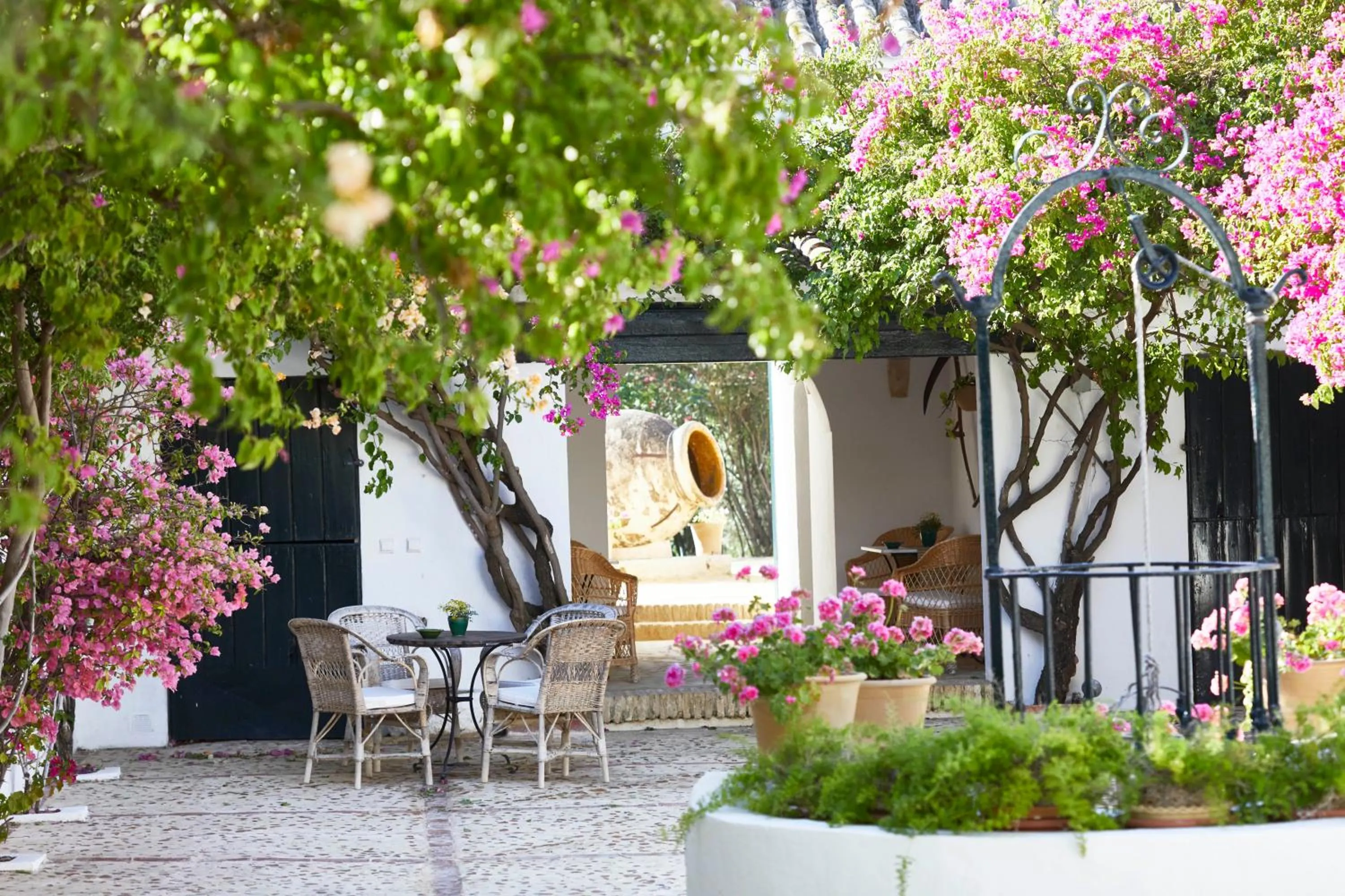 Patio in Hacienda de San Rafael