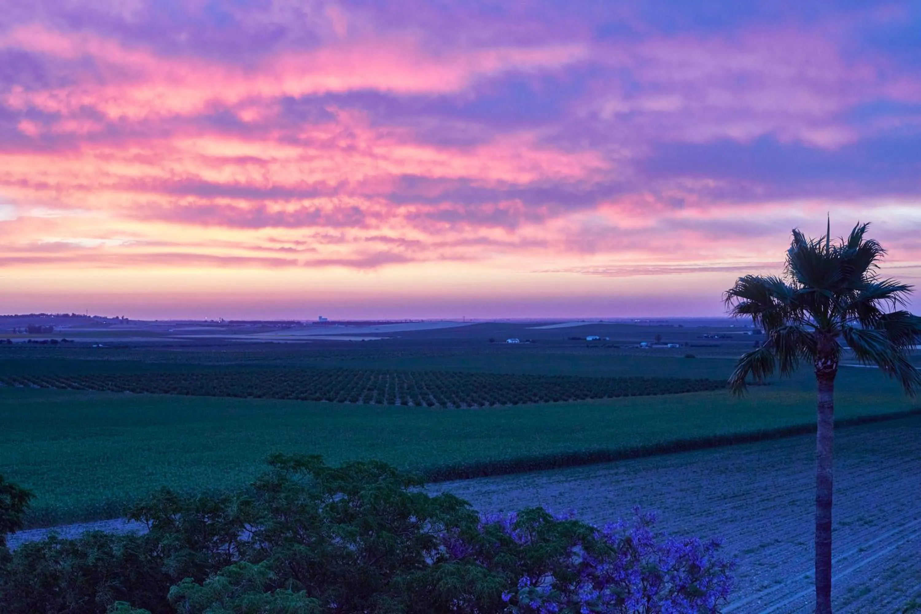 View (from property/room) in Hacienda de San Rafael