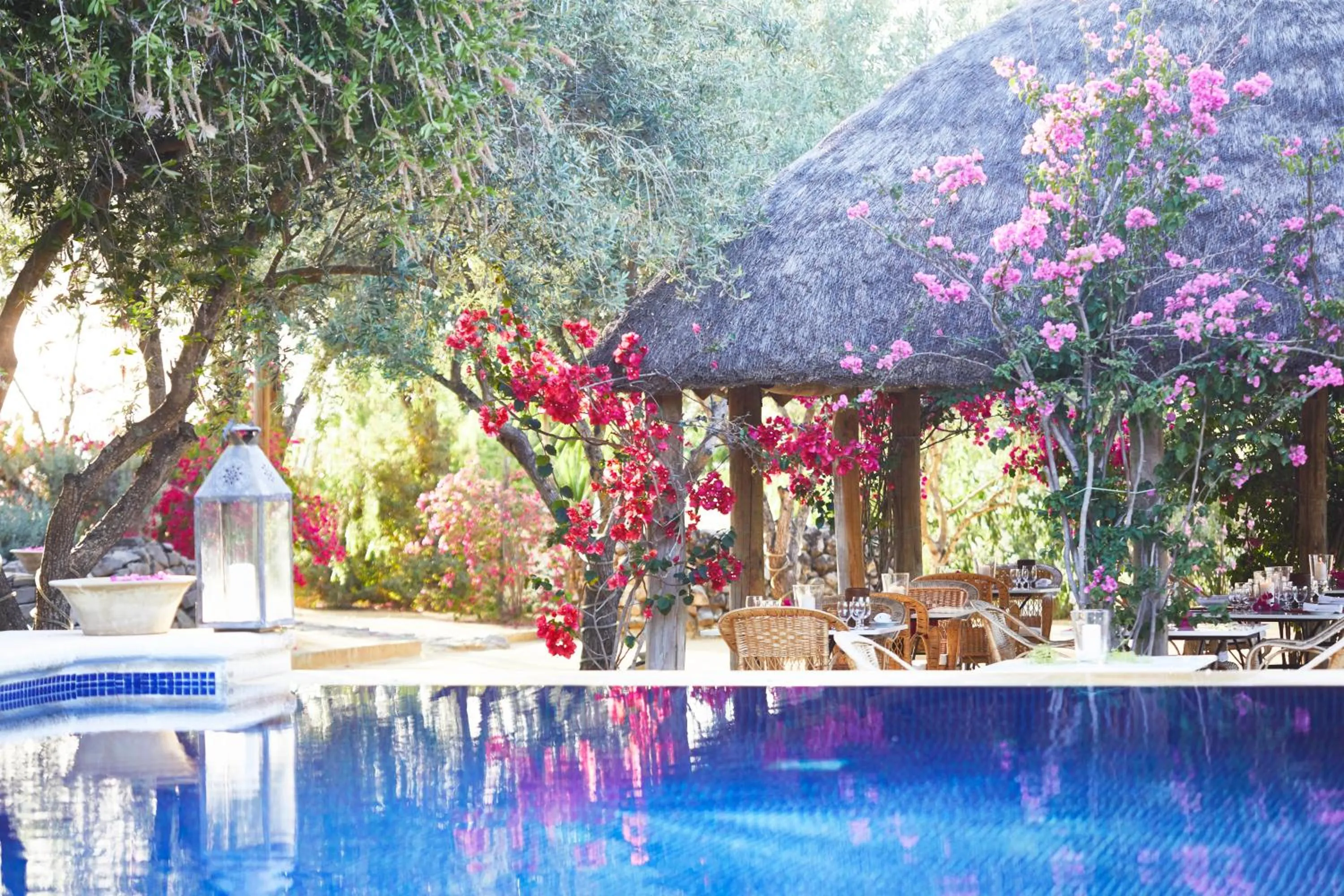 Swimming pool in Hacienda de San Rafael