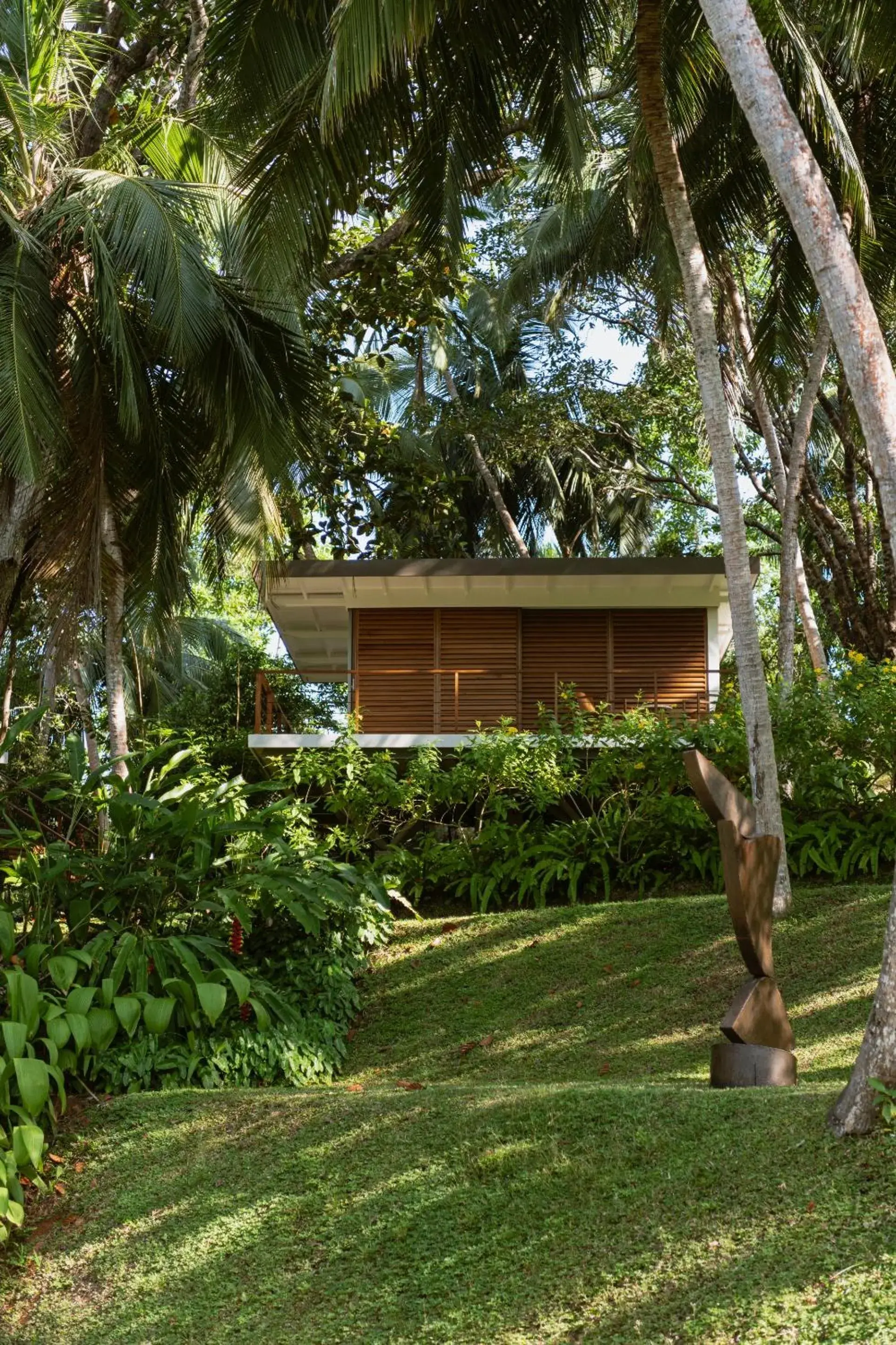 Tree House with Lake View in Kurulu Bay Tree House with Lake View in Kurulu Bay