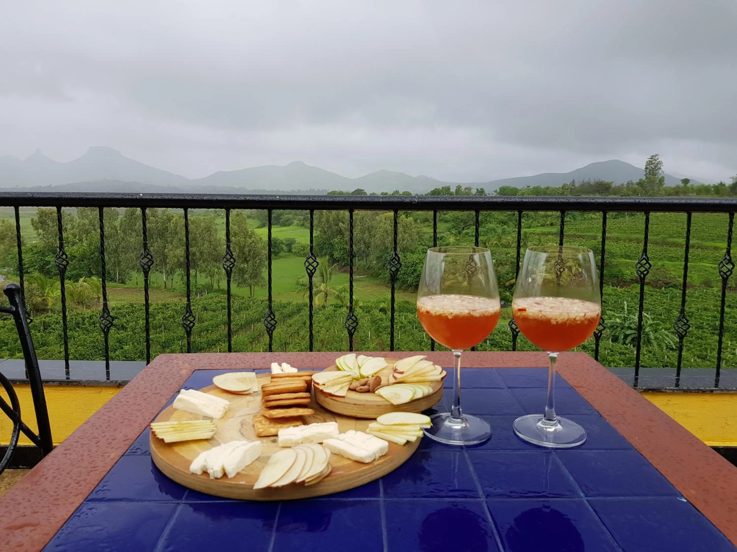 View (from property/room) in Vallonne Vineyards
