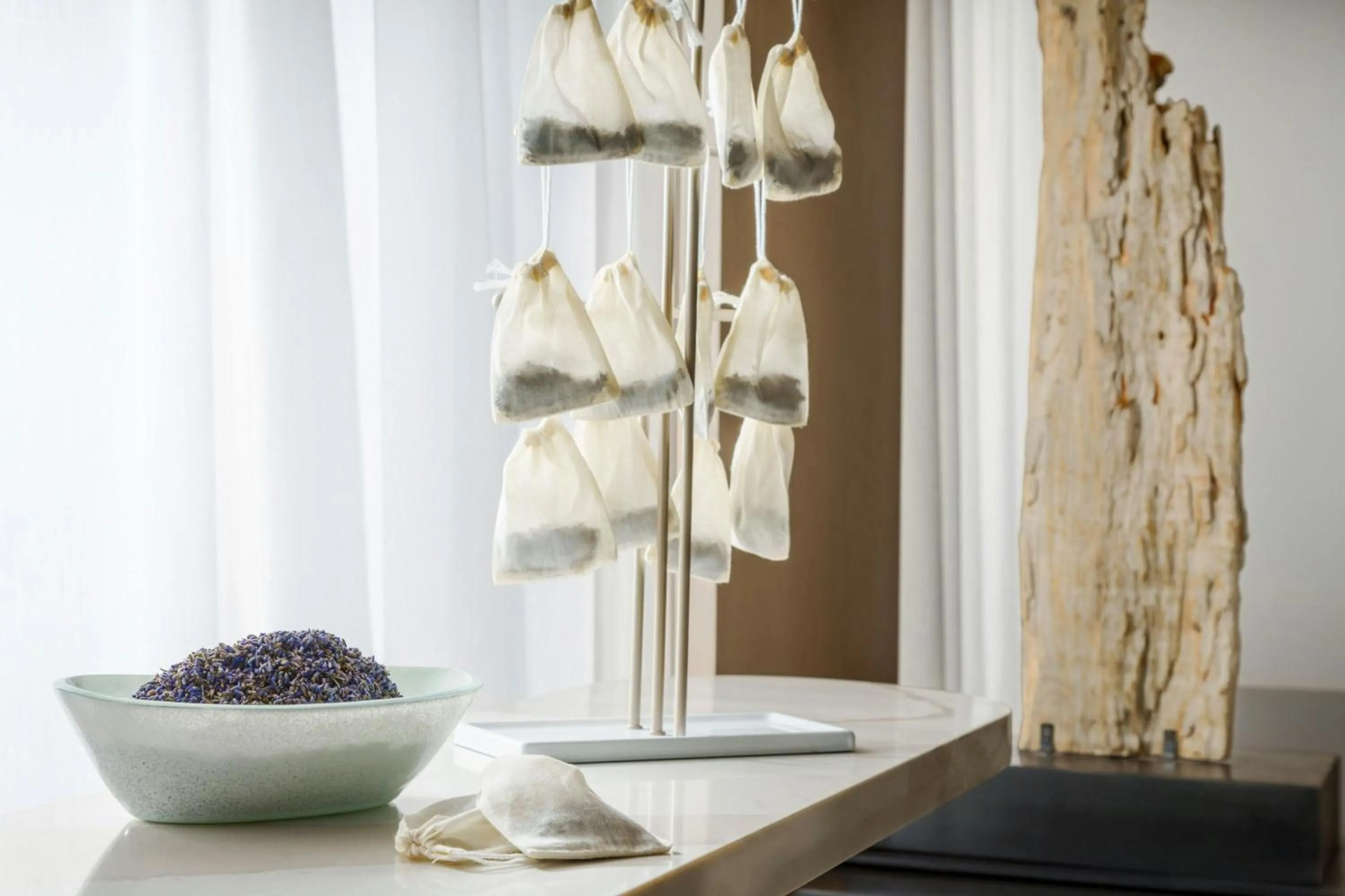 Other in AC Hotel St Petersburg Downtown